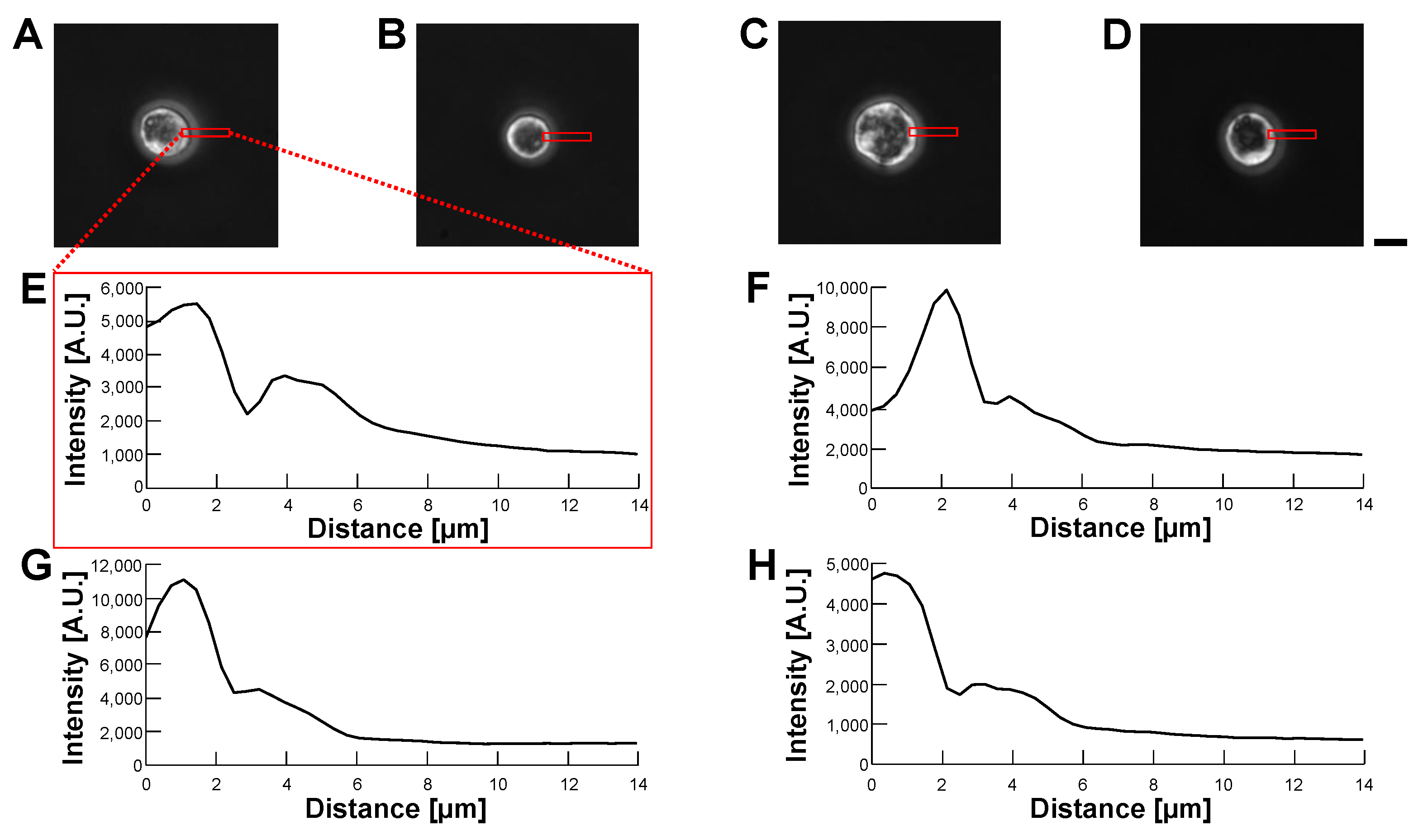 Micromachines 14 00072 g012