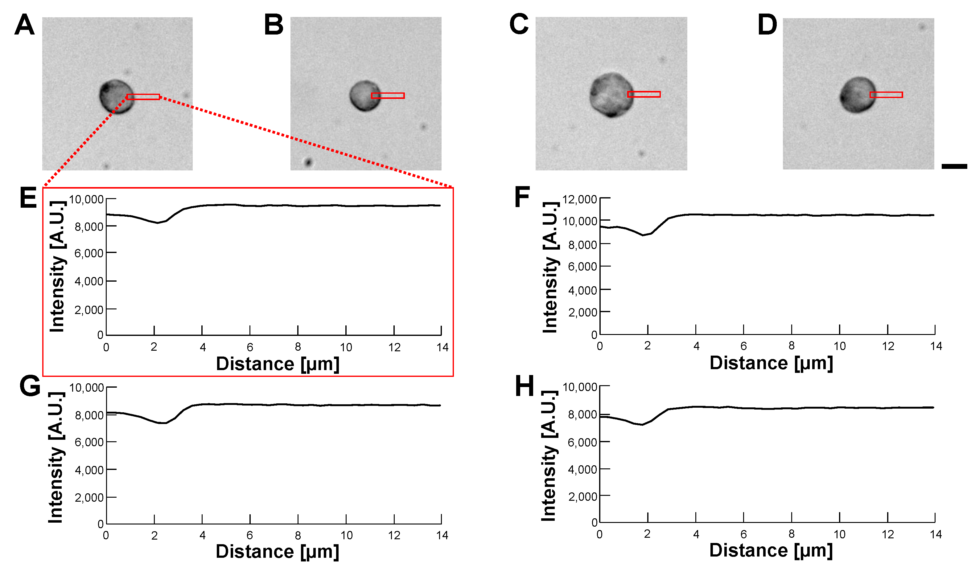 Micromachines 14 00072 g014