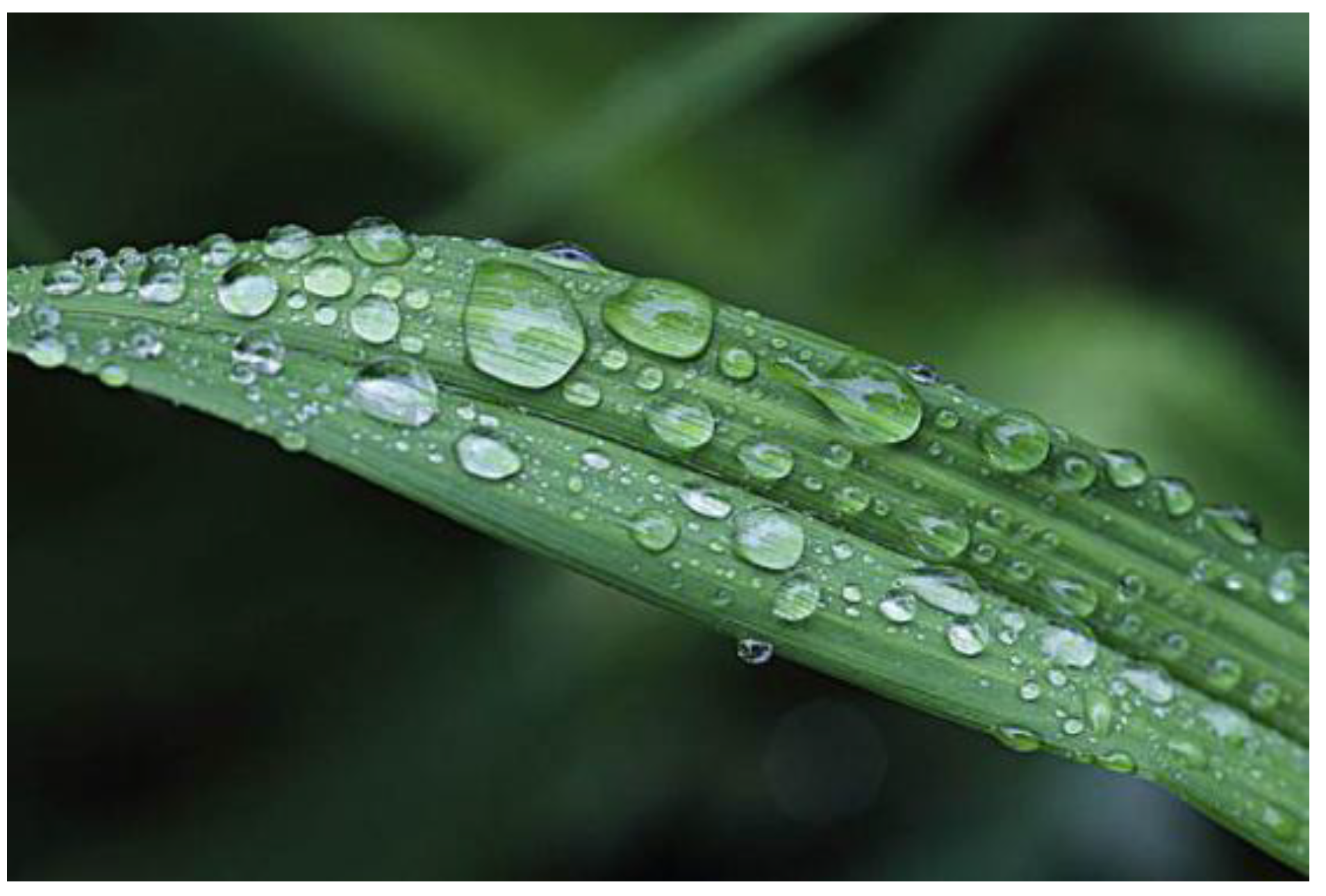 Micromachines 14 00076 g001 Micromachines 14 00076 g001