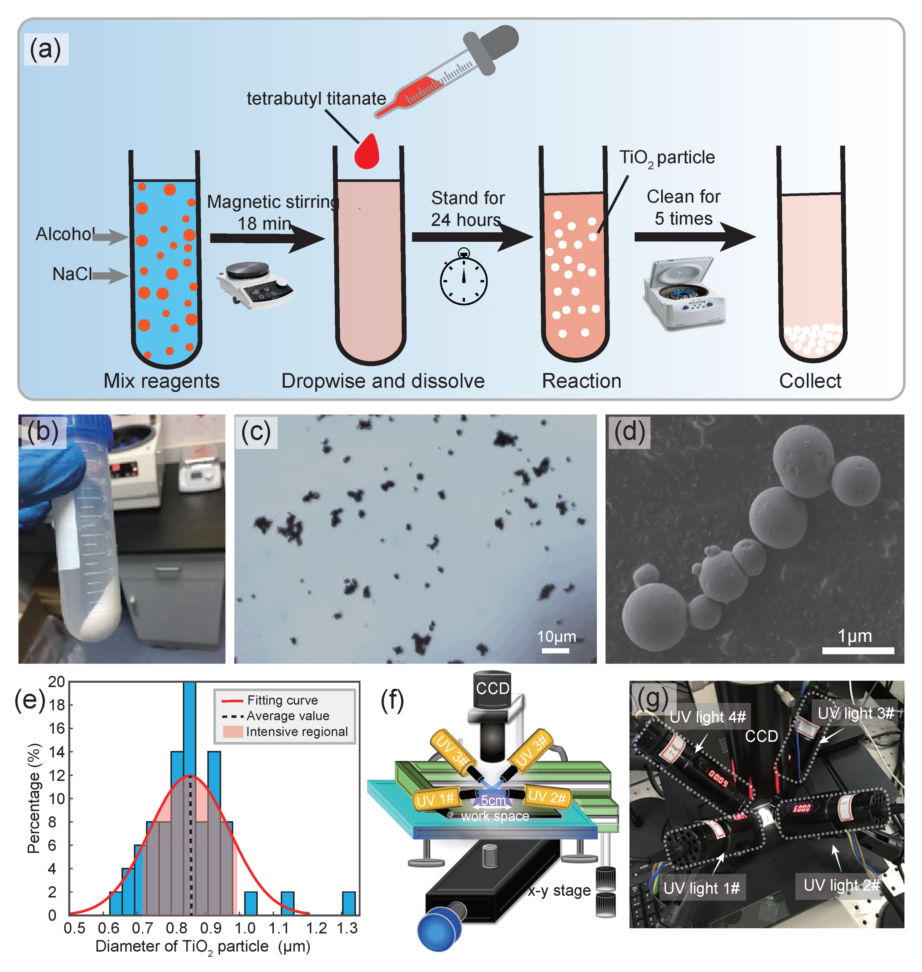 Micromachines 14 00089 g001