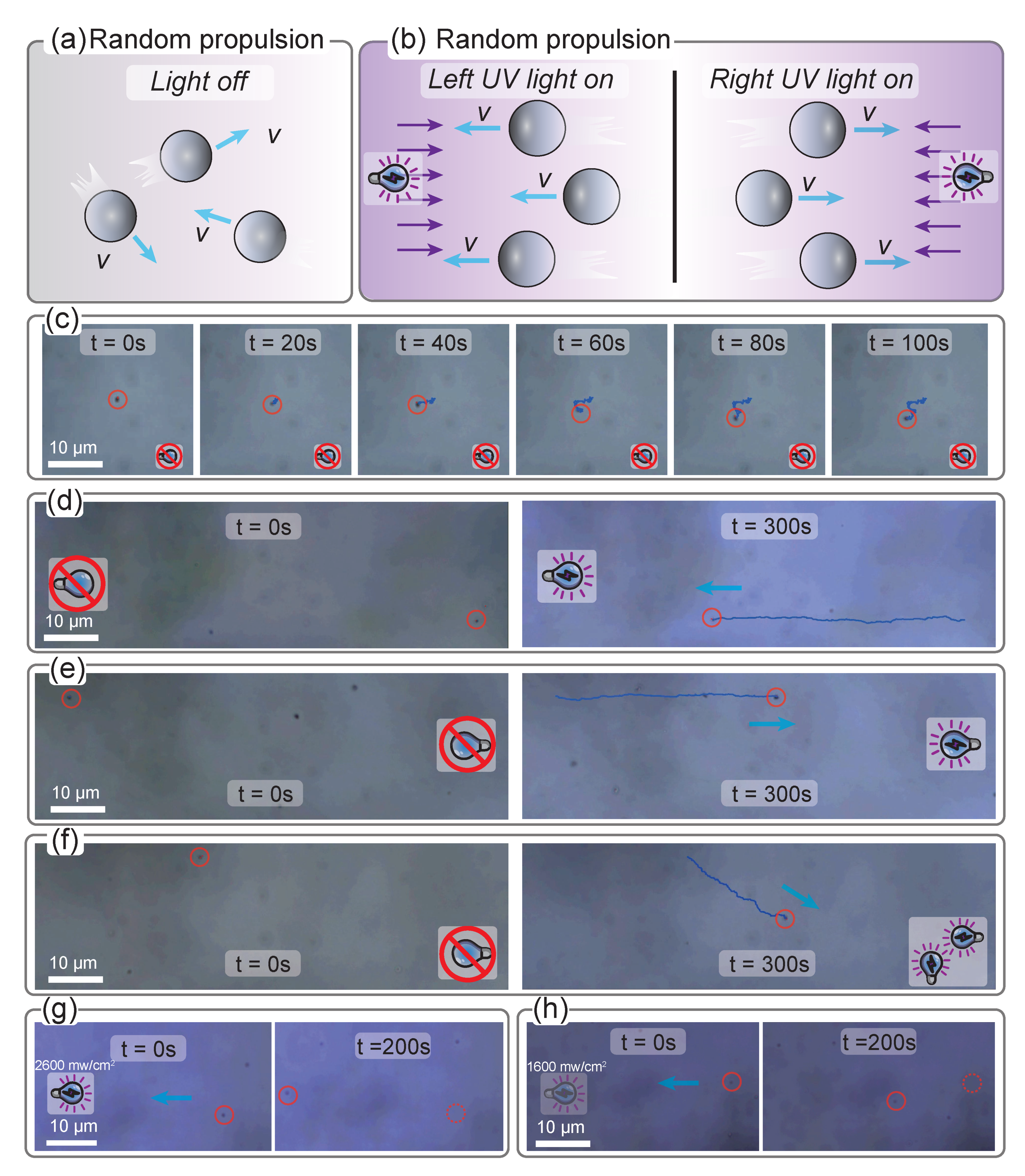 Micromachines 14 00089 g003