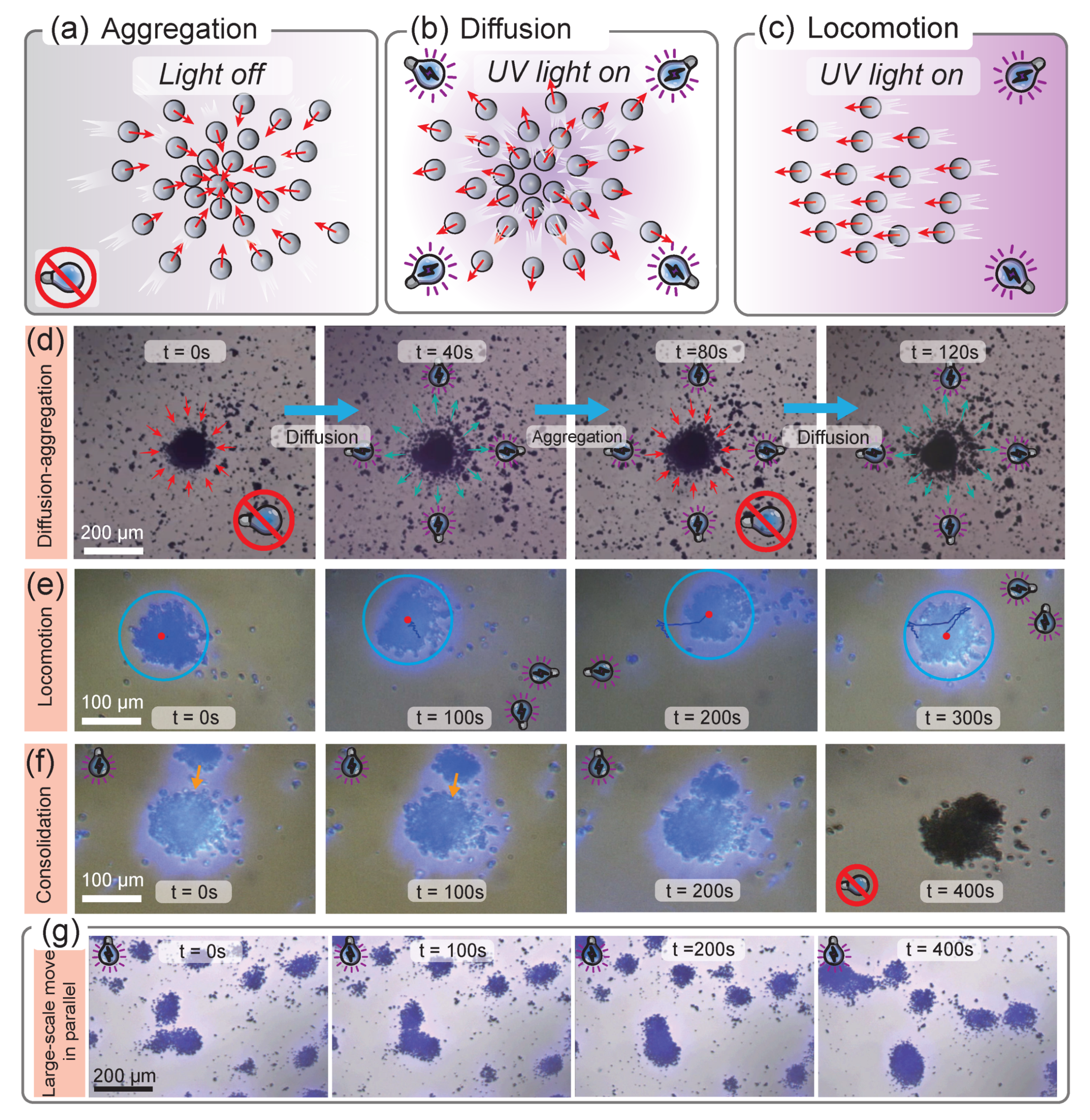 Micromachines 14 00089 g004