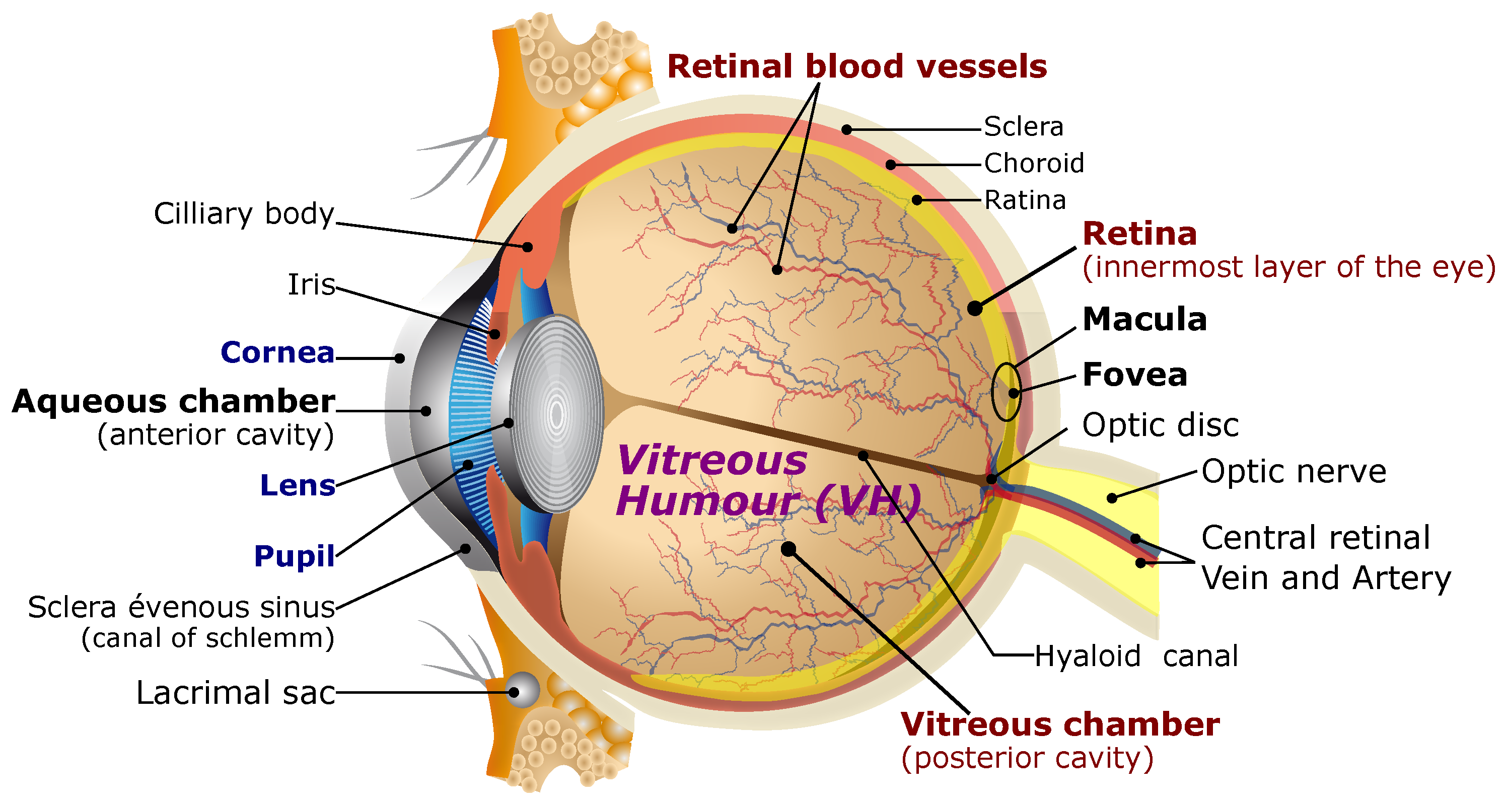 Micromachines 14 00091 g001