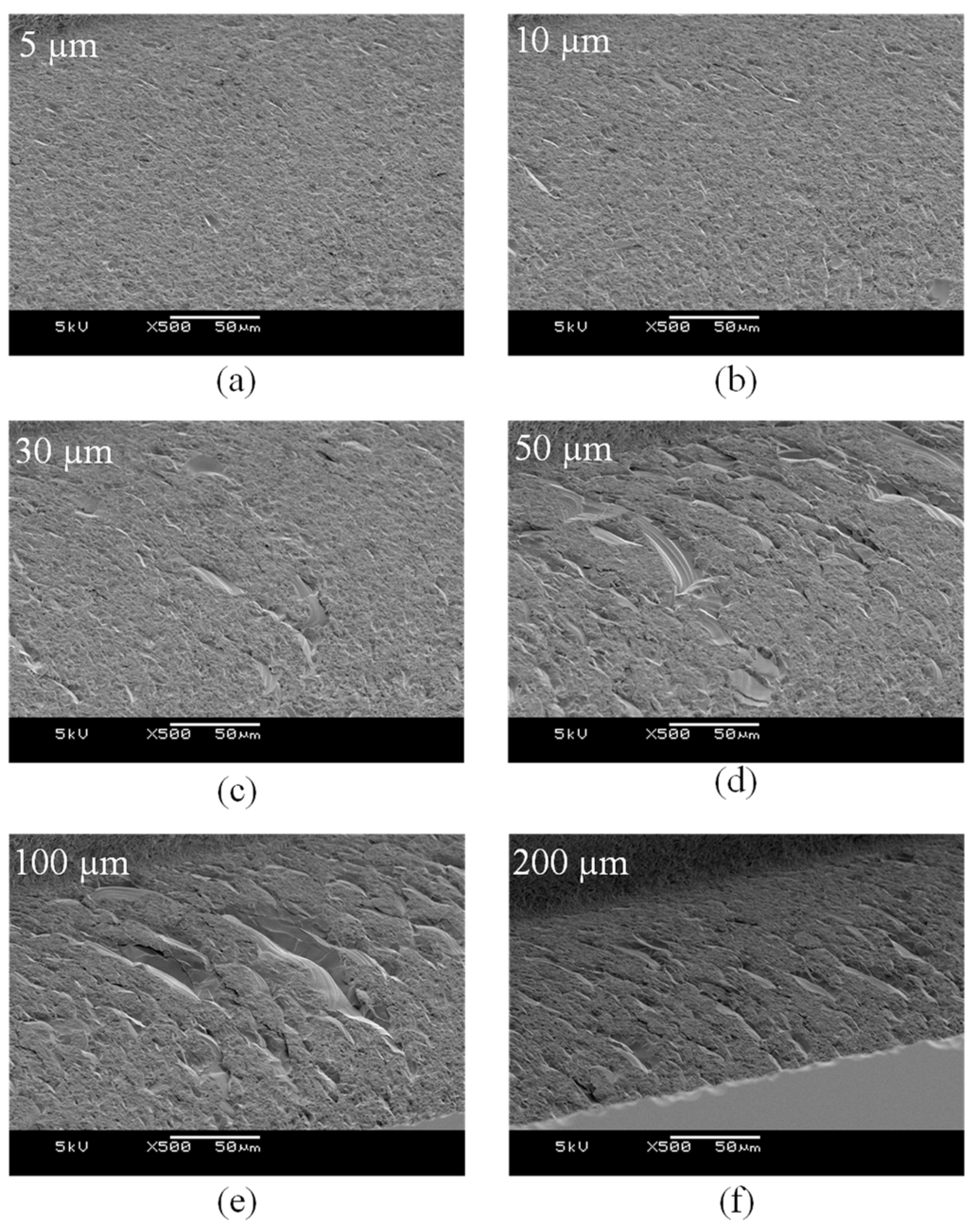 Micromachines 14 00096 g006