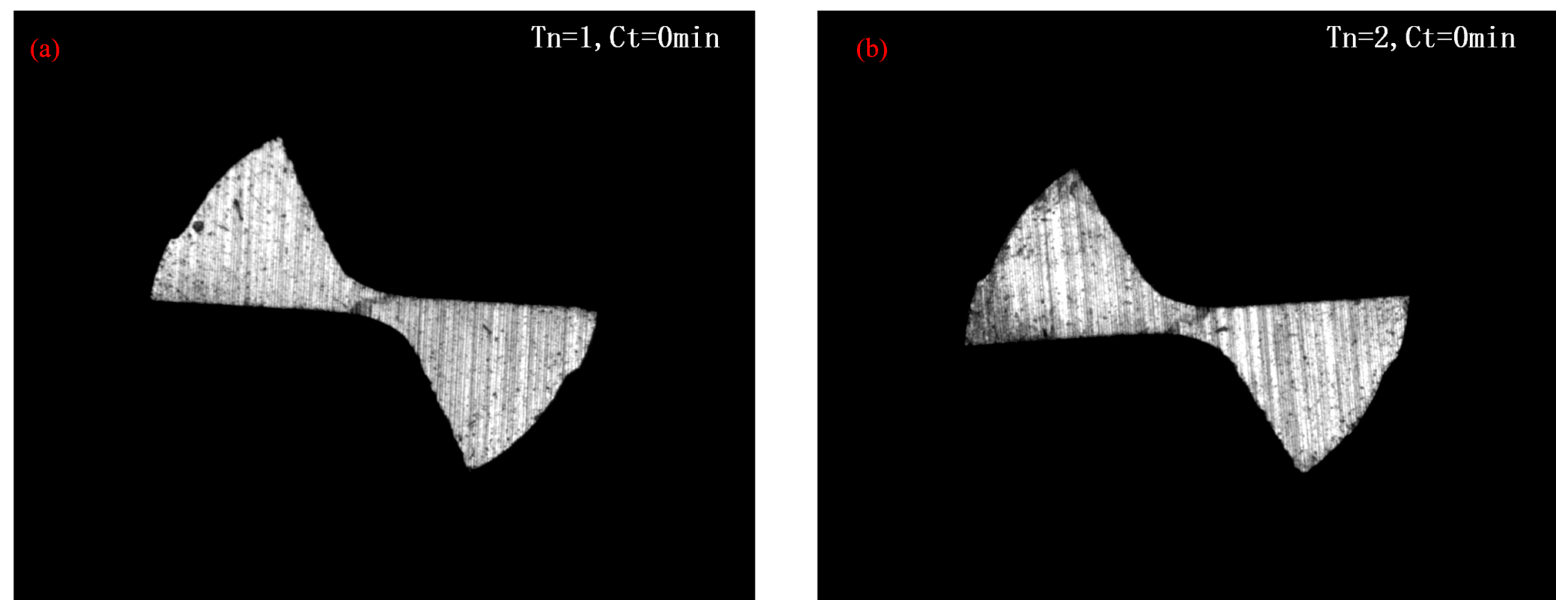 Micromachines 14 00100 g005