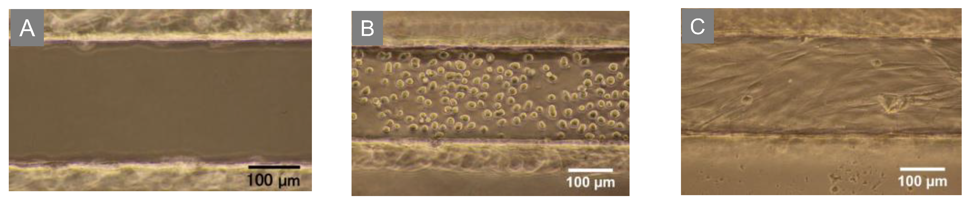 Micromachines 14 00107 g003 Micromachines 14 00107 g003