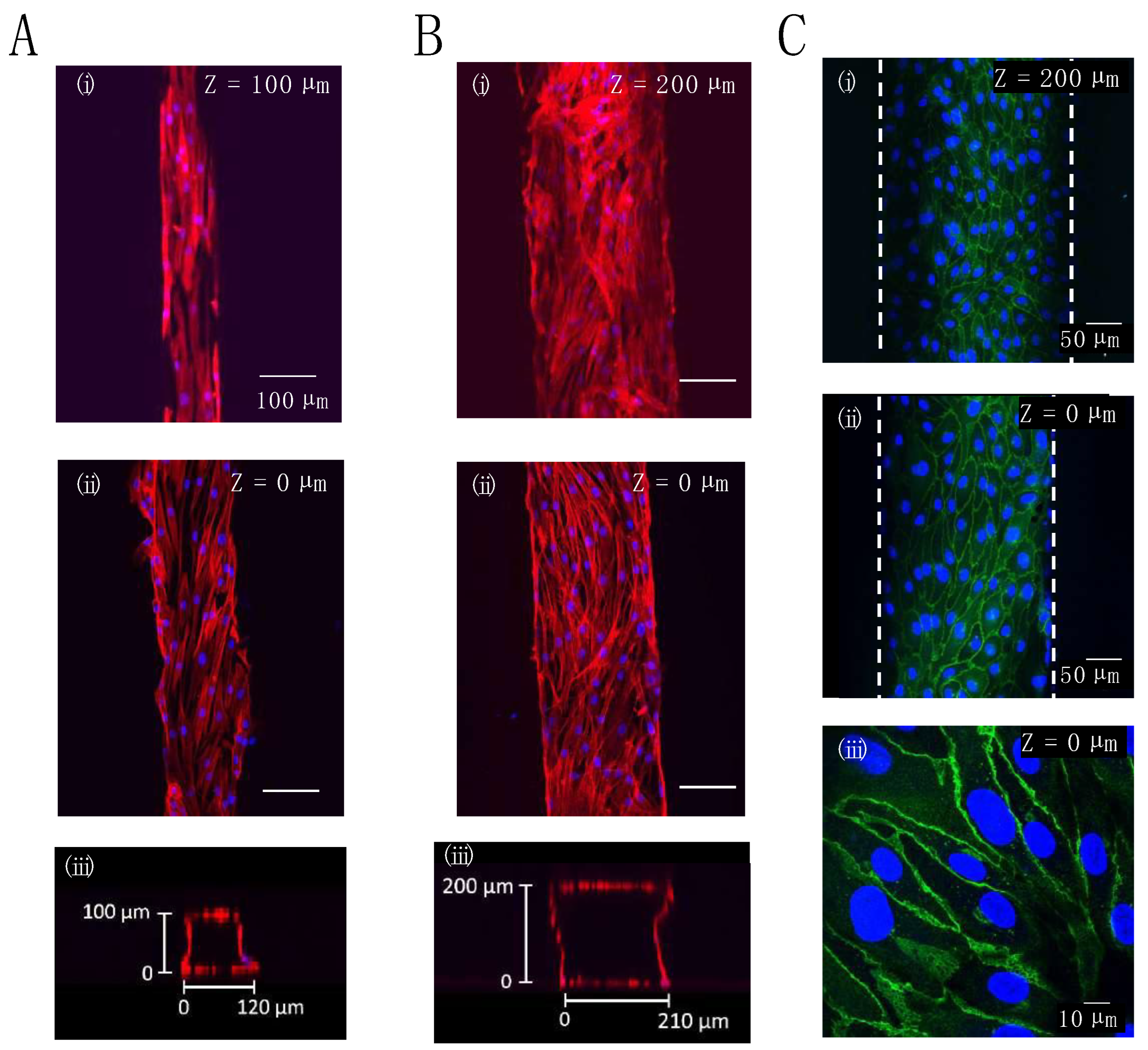 Micromachines 14 00107 g004 Micromachines 14 00107 g004