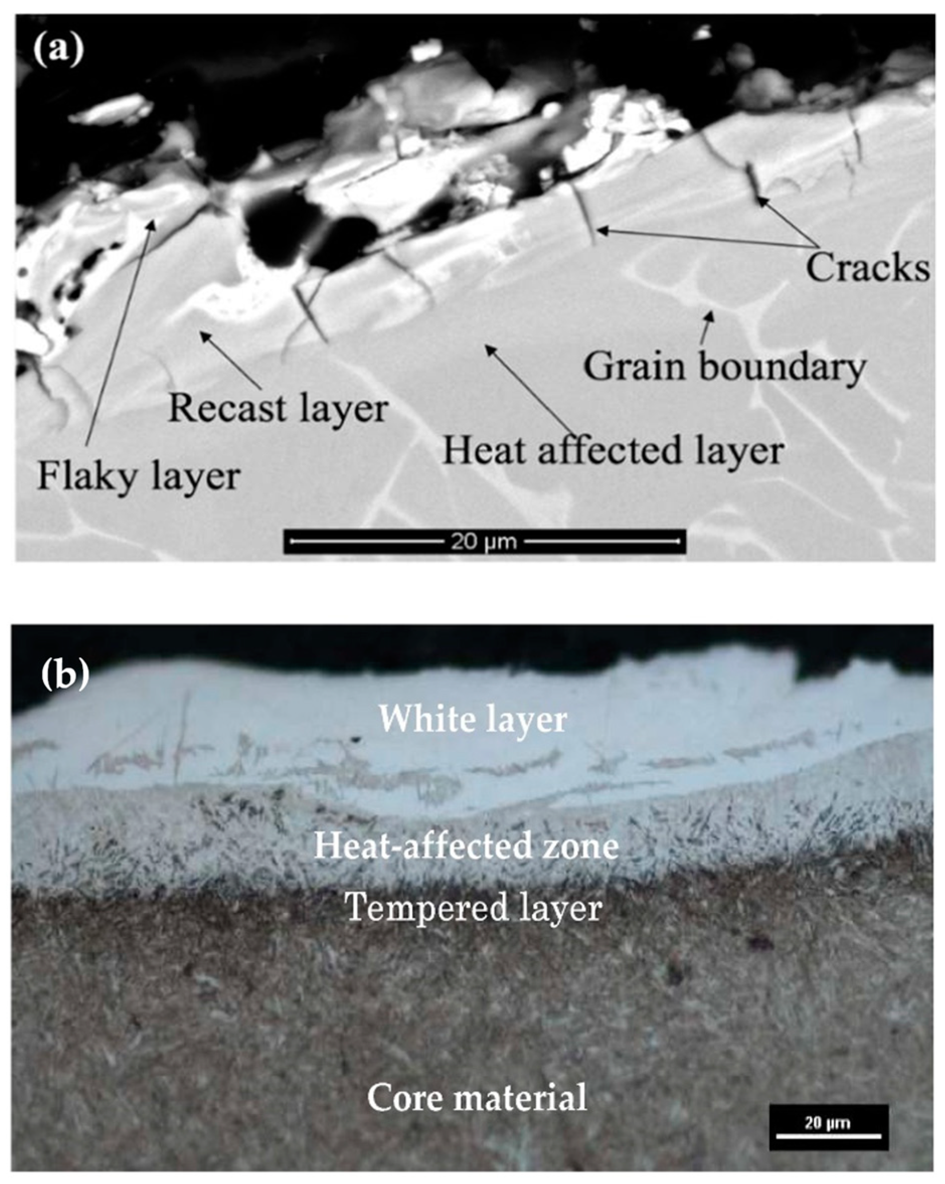 Micromachines 14 00115 g002
