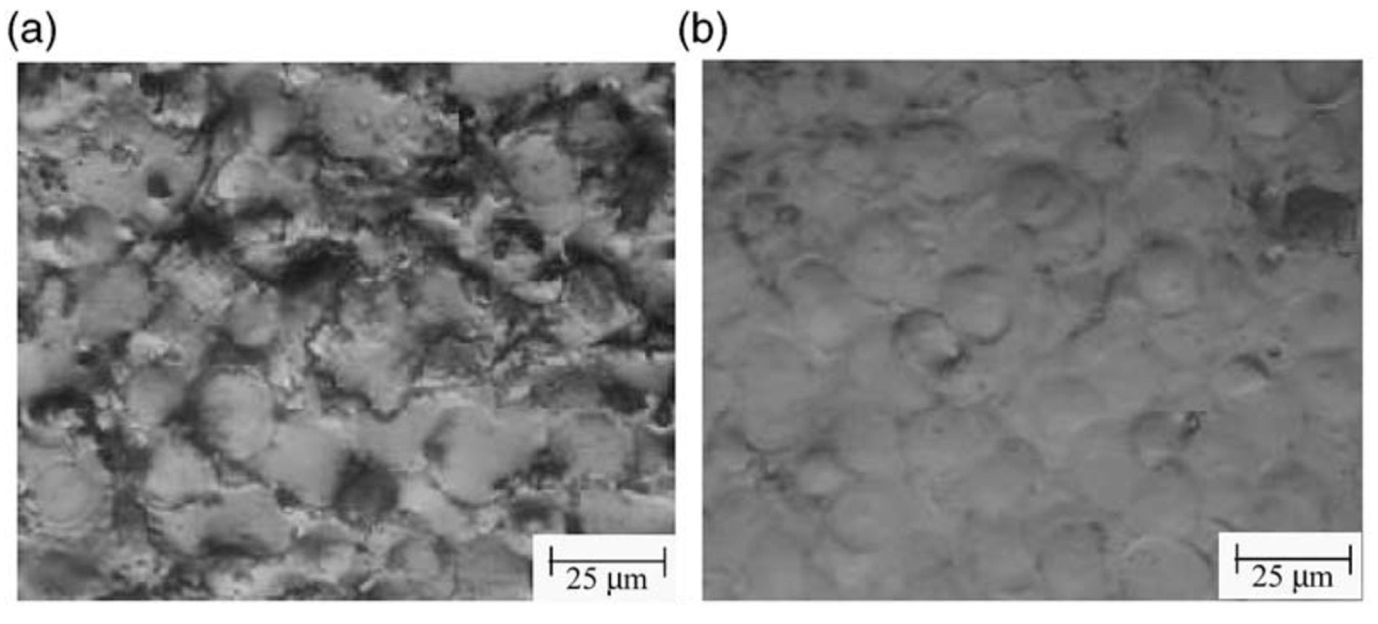 Micromachines 14 00115 g009