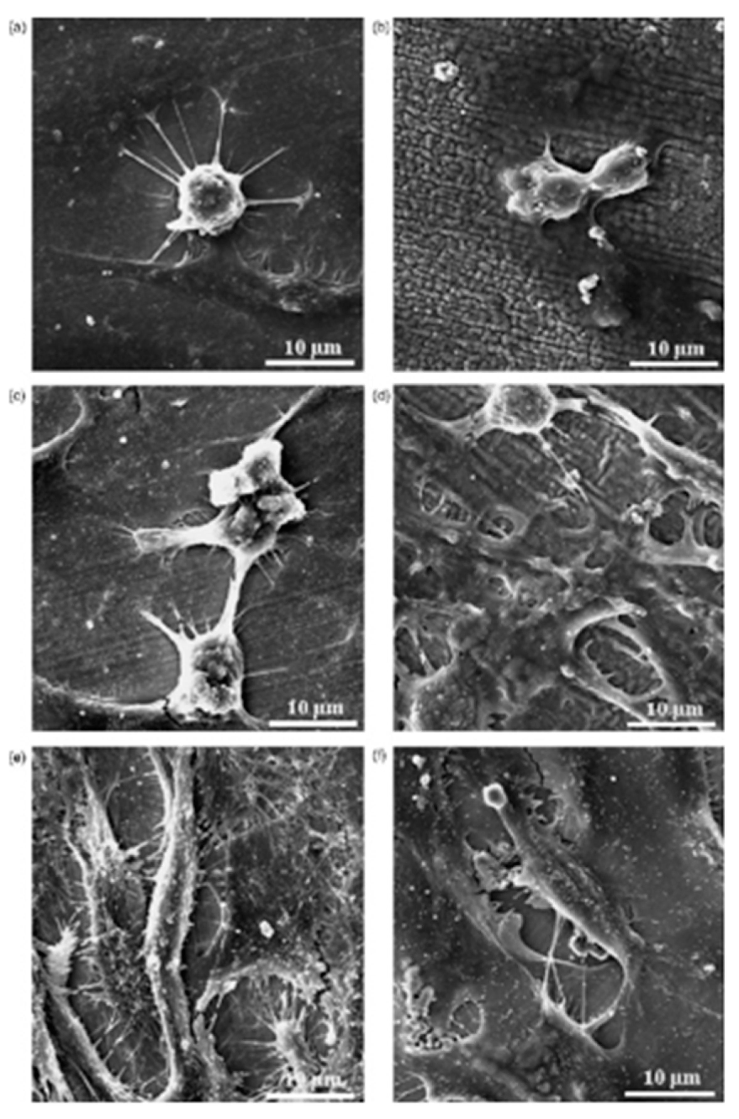 Micromachines 14 00115 g018