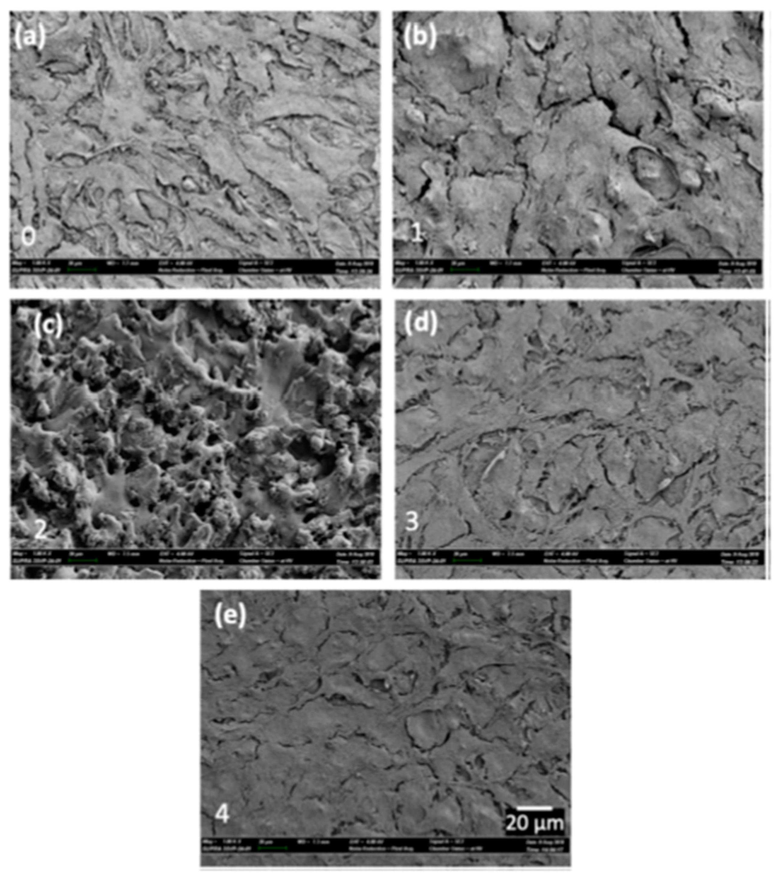 Micromachines 14 00115 g020