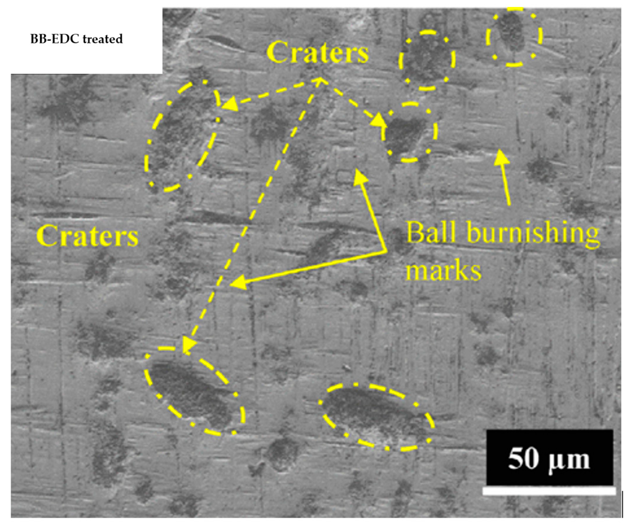 Micromachines 14 00115 g025
