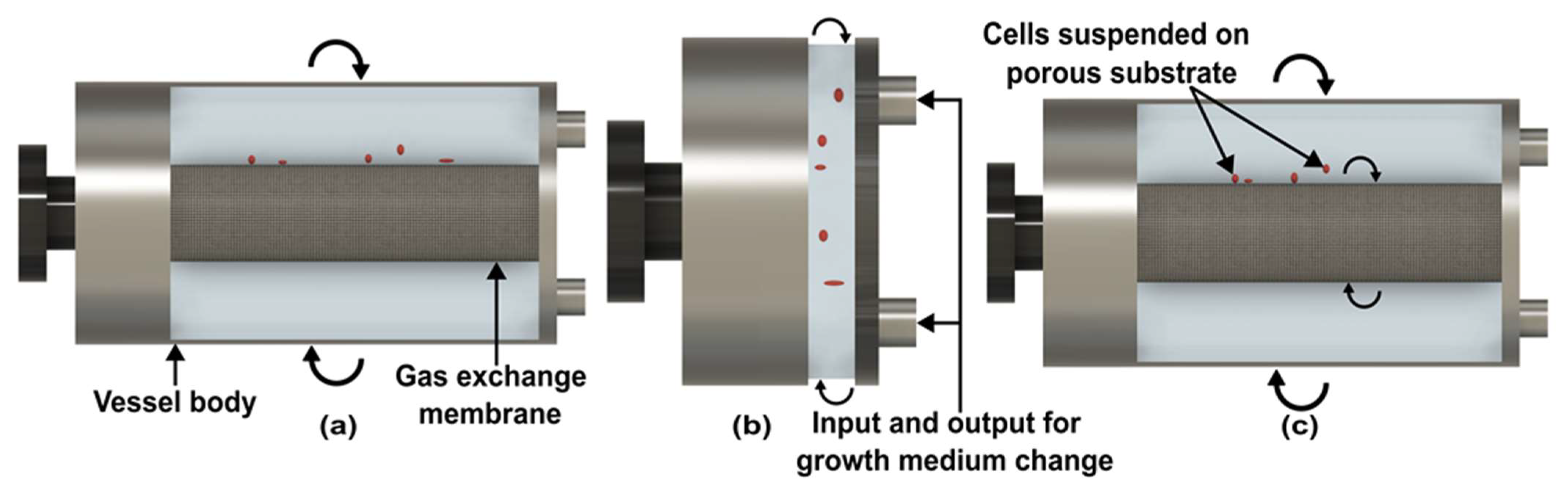 Micromachines 14 00116 g004