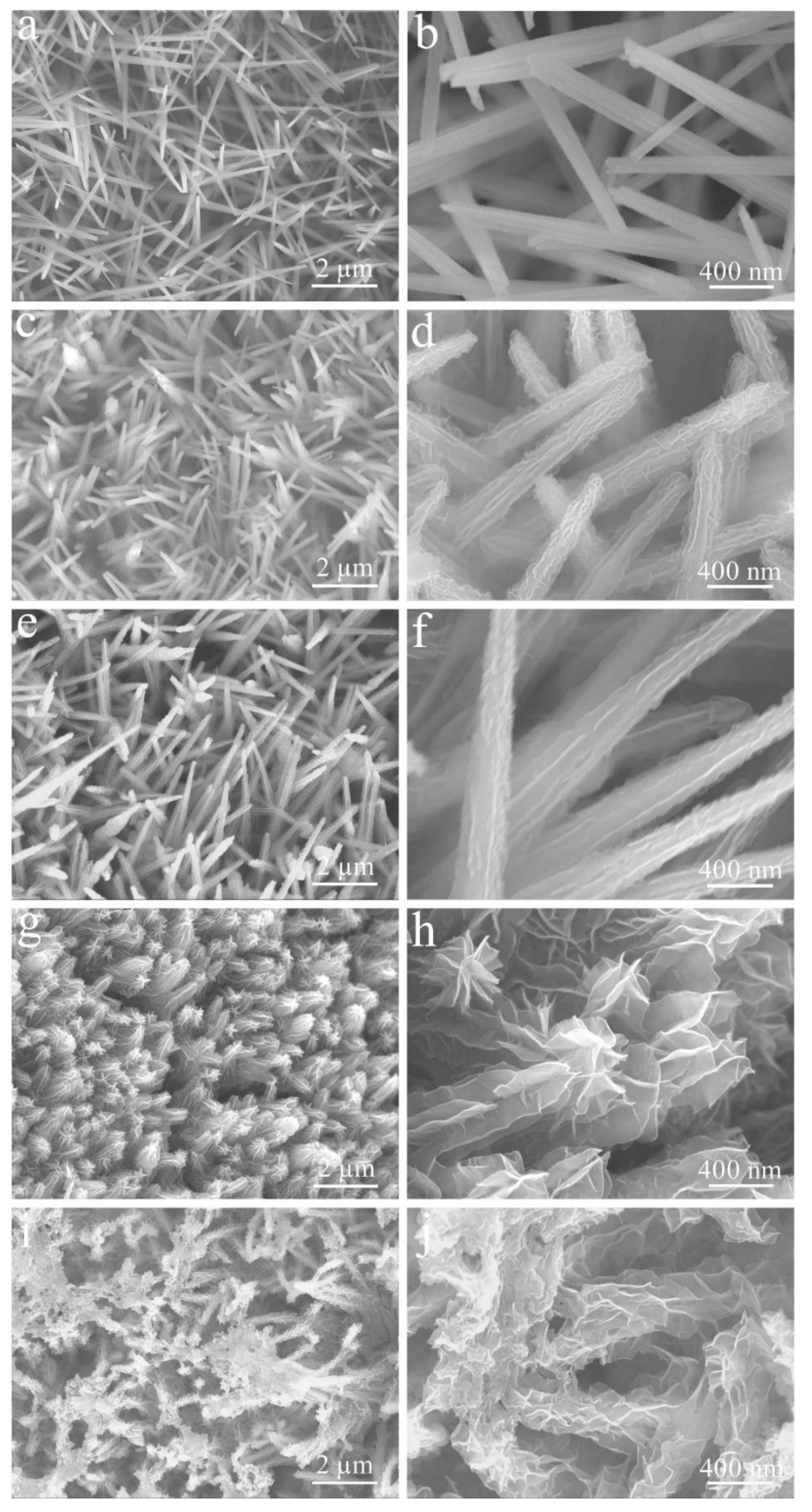 Micromachines 14 00125 g005 550