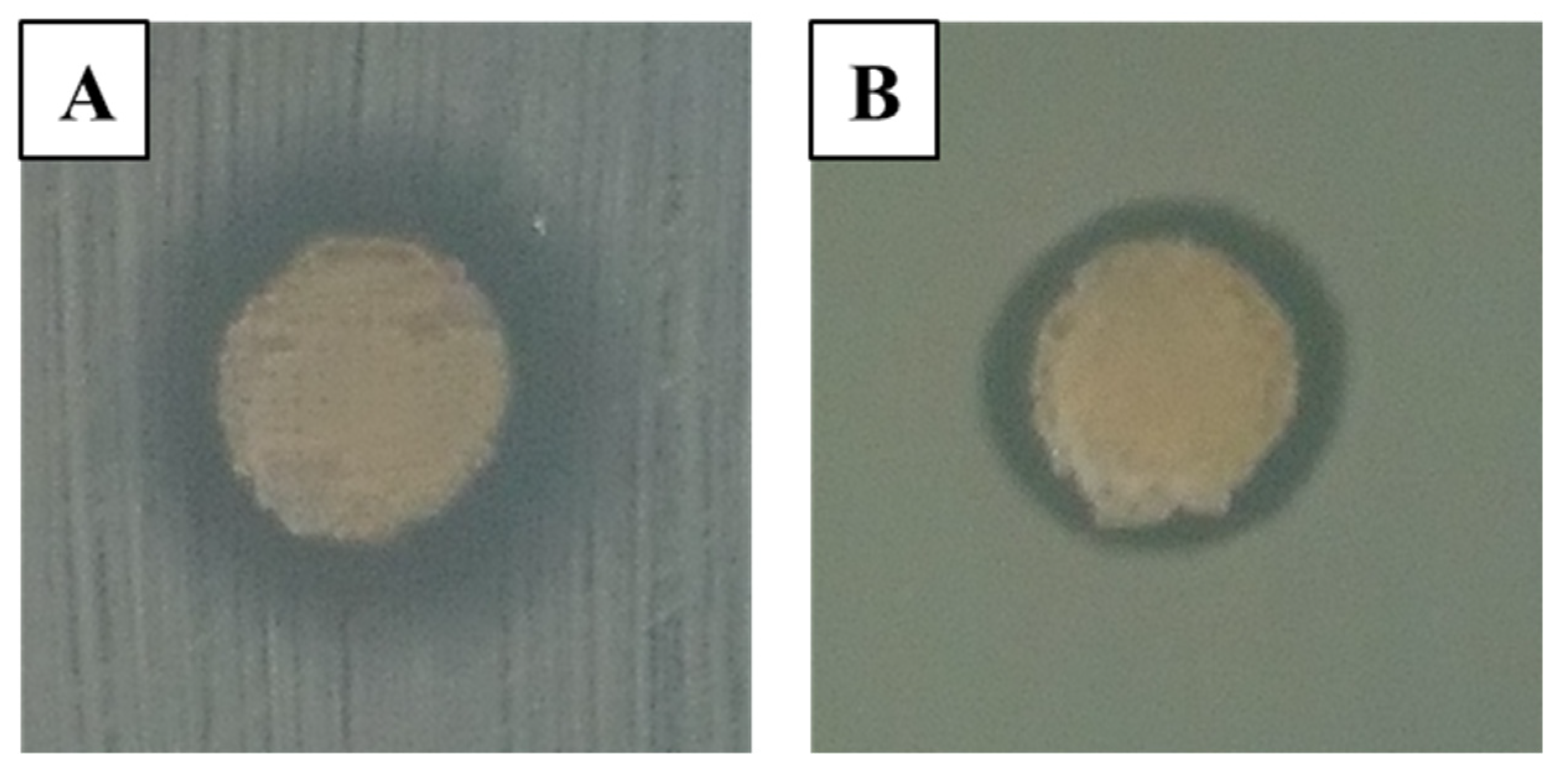 Micromachines 14 00137 g006