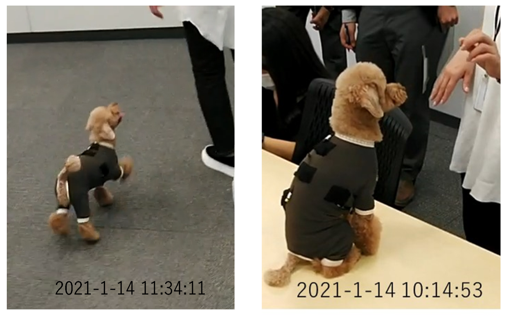 Micromachines 14 00143 g014