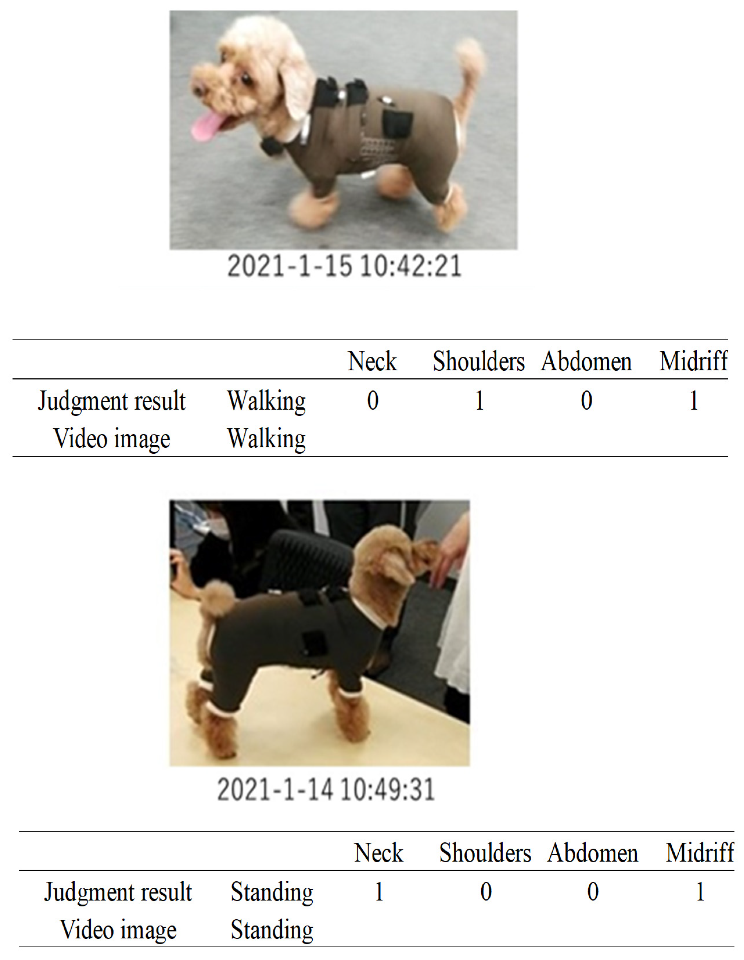 Micromachines 14 00143 g017