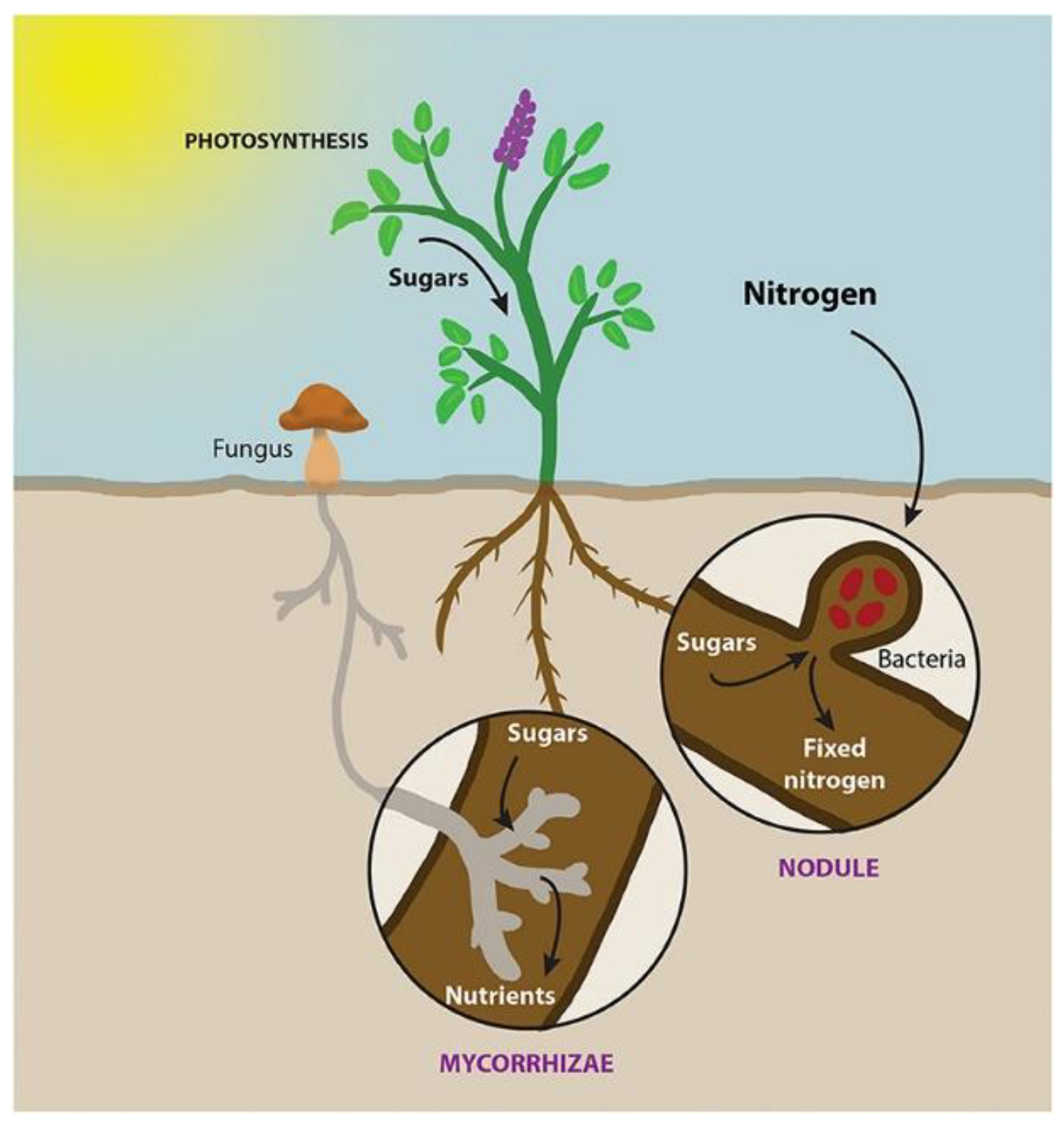 Micromachines 14 00149 g005