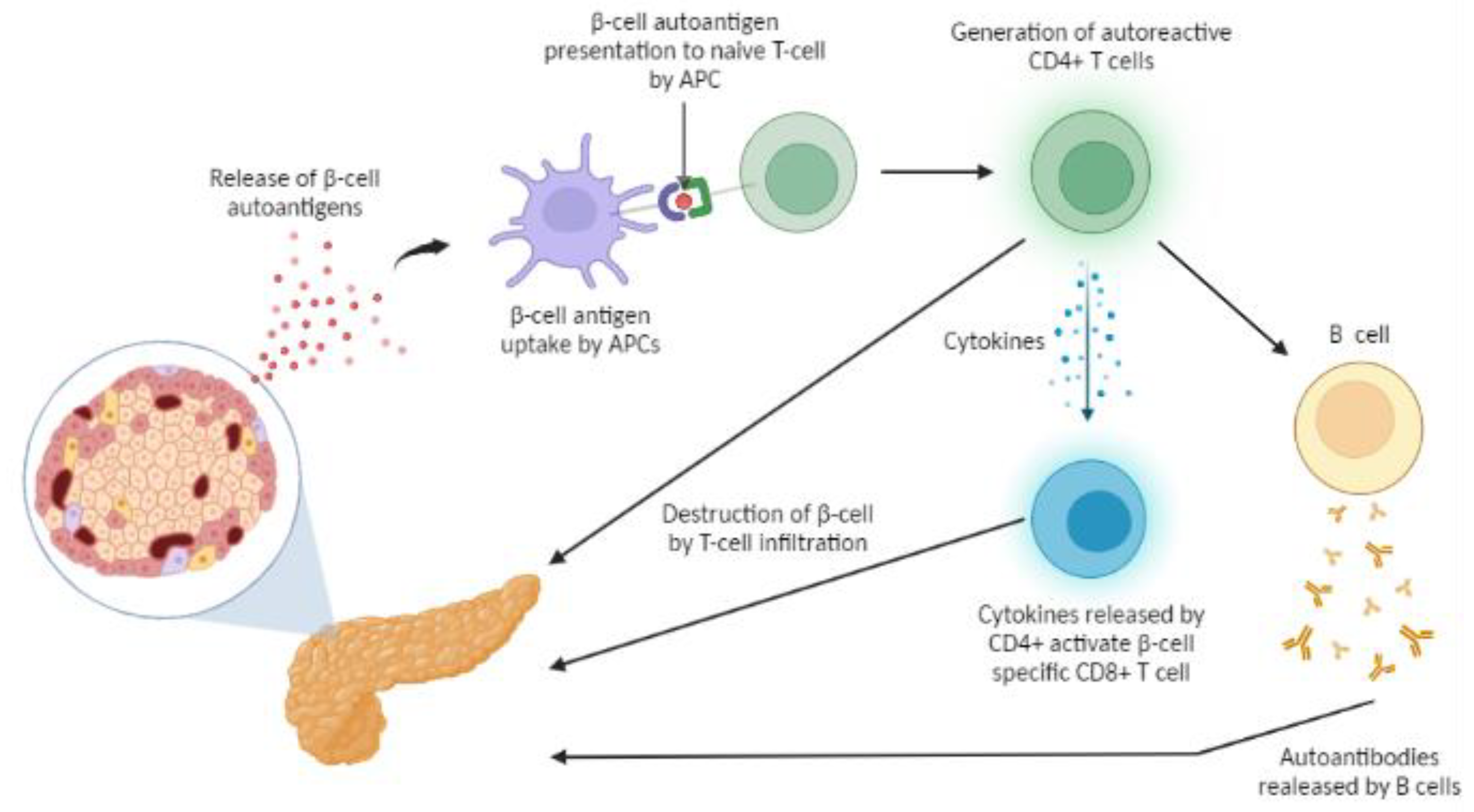 Micromachines 14 00151 g001