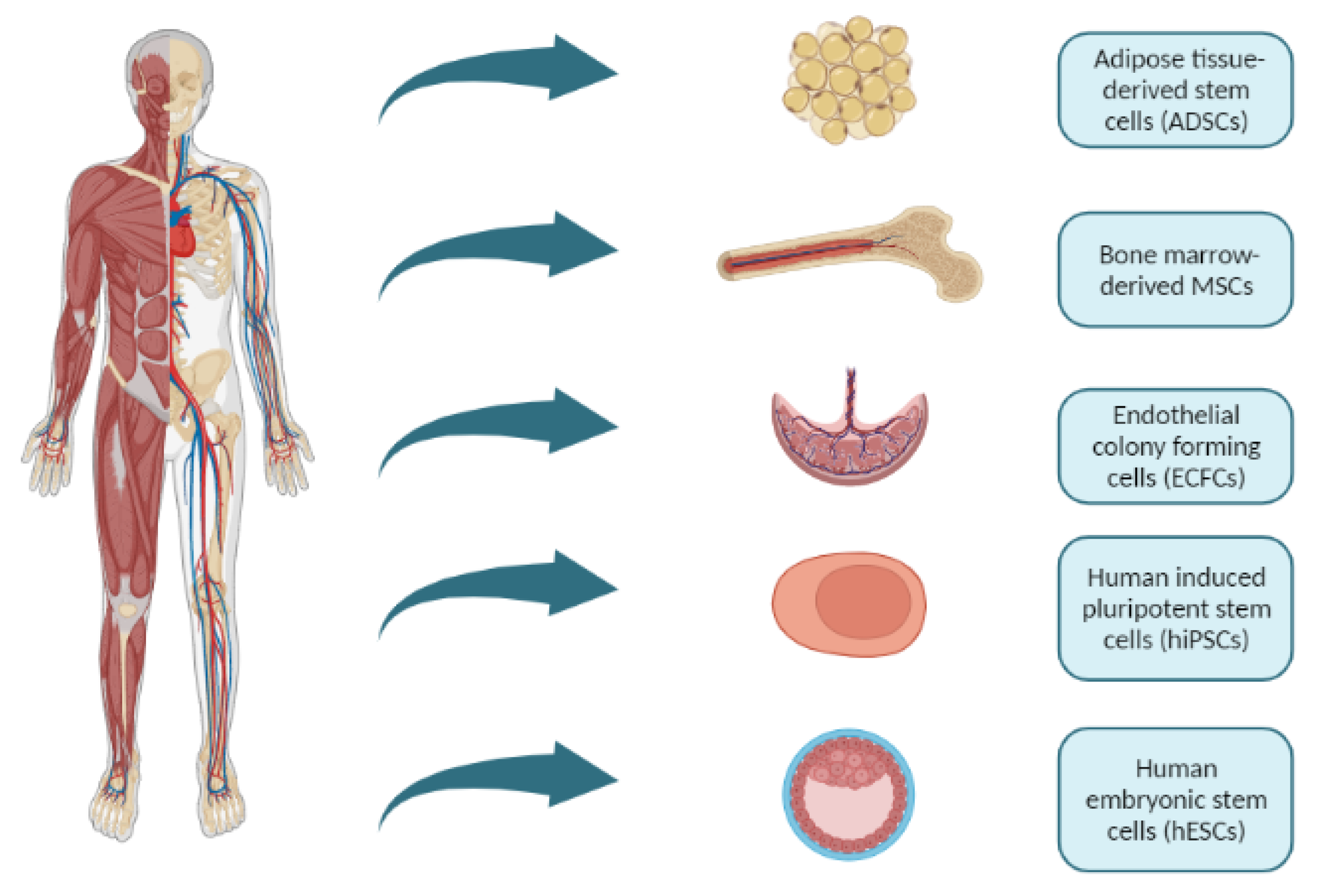 Micromachines 14 00151 g003