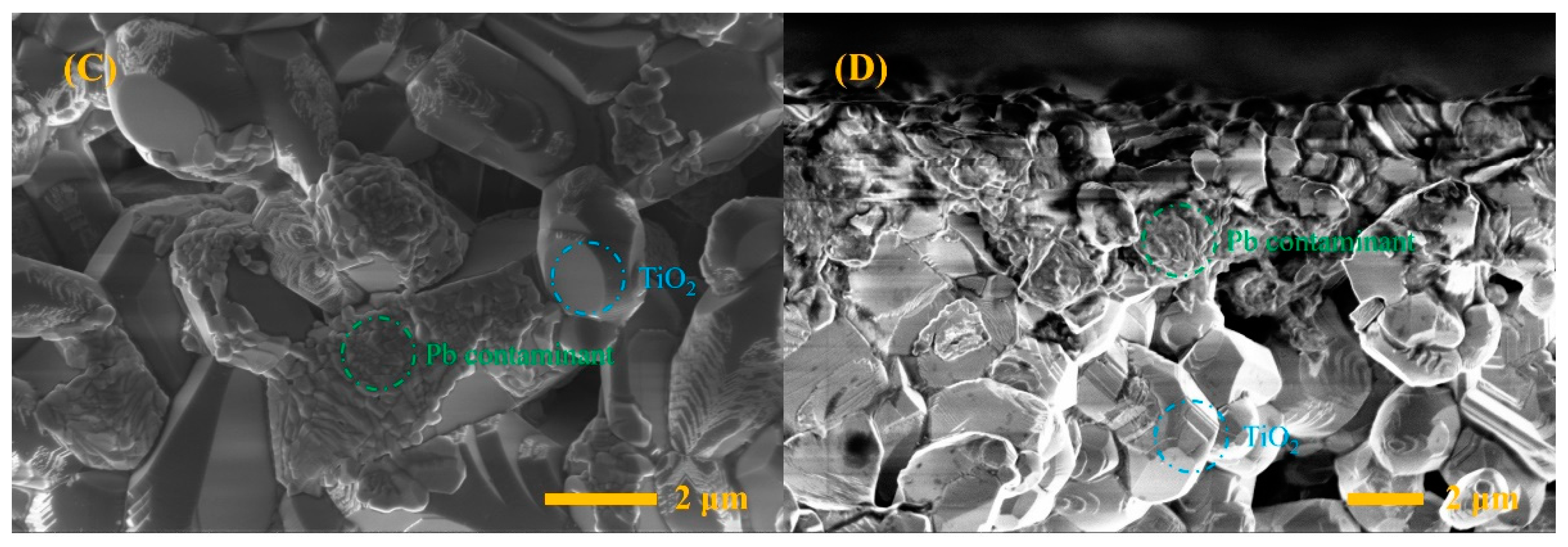 Micromachines 14 00156 g003b 550