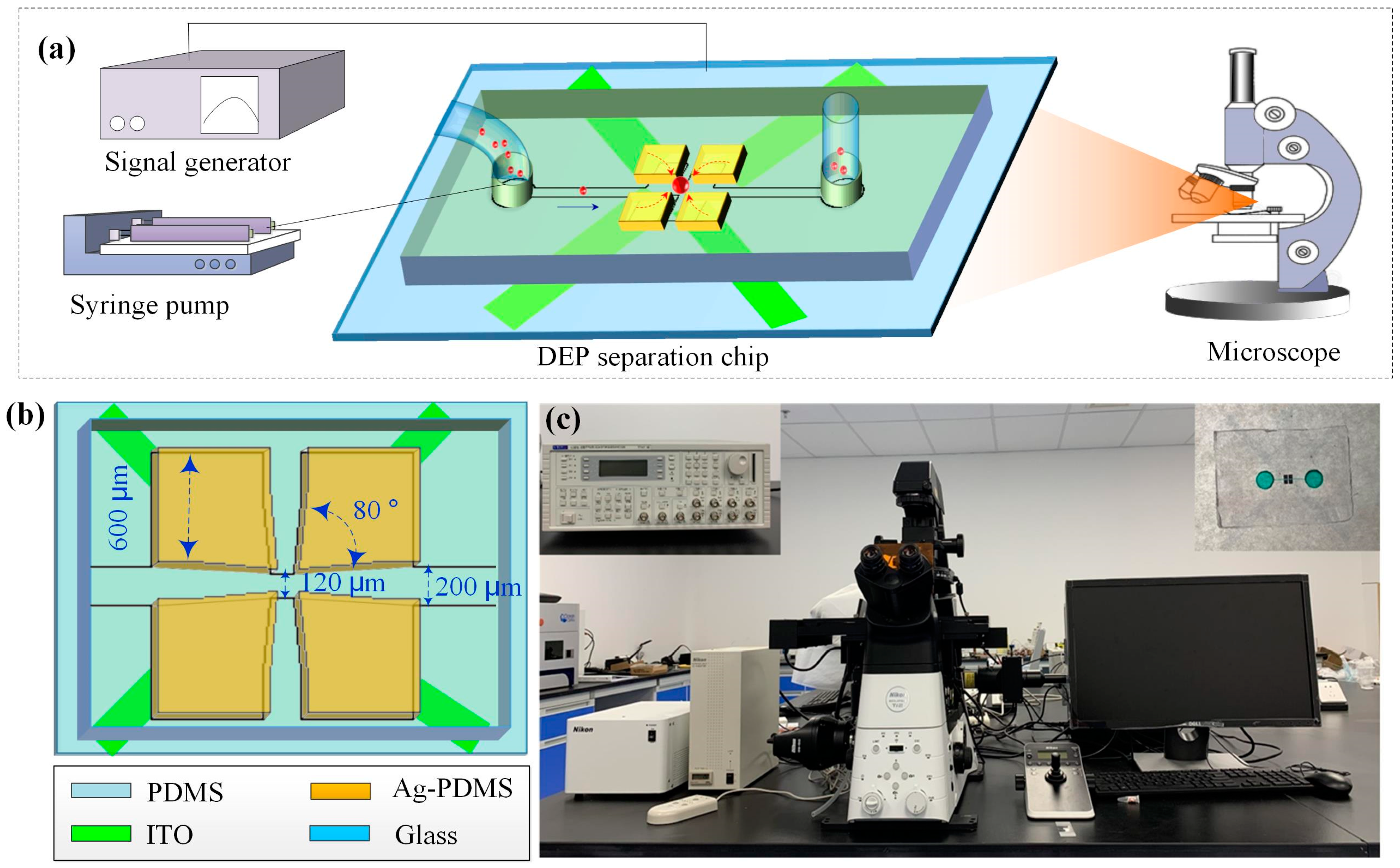 Micromachines 14 00159 g001