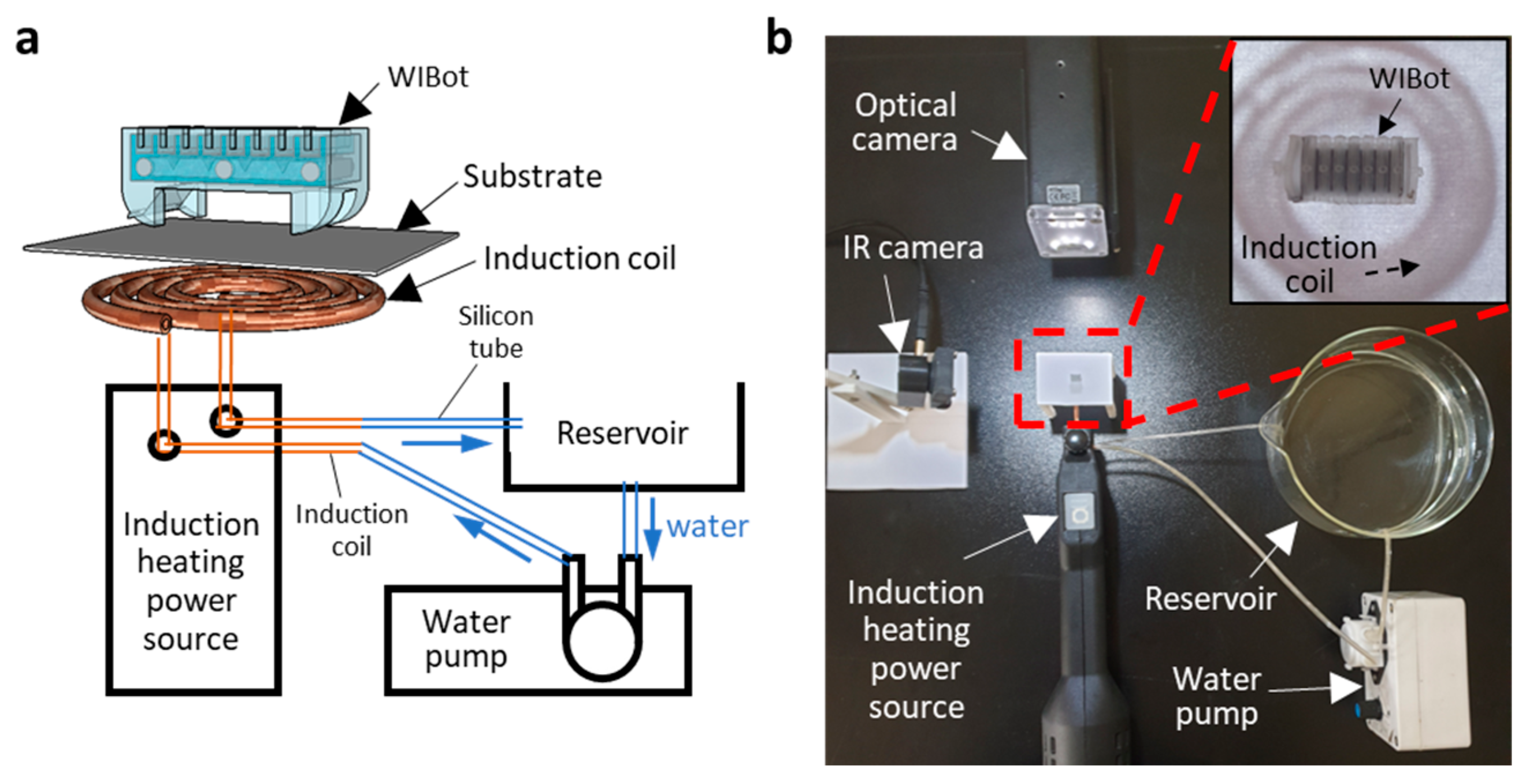 Micromachines 14 00162 g004