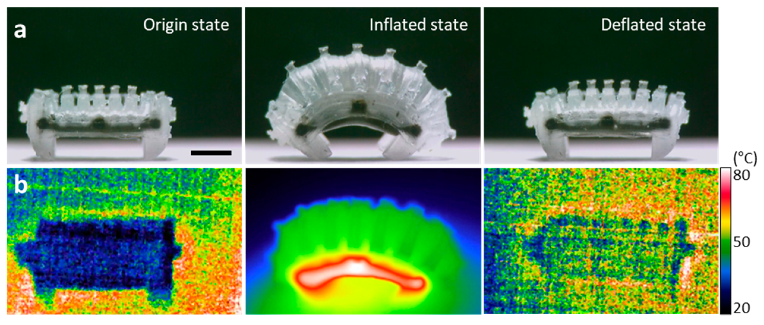 Micromachines 14 00162 g005