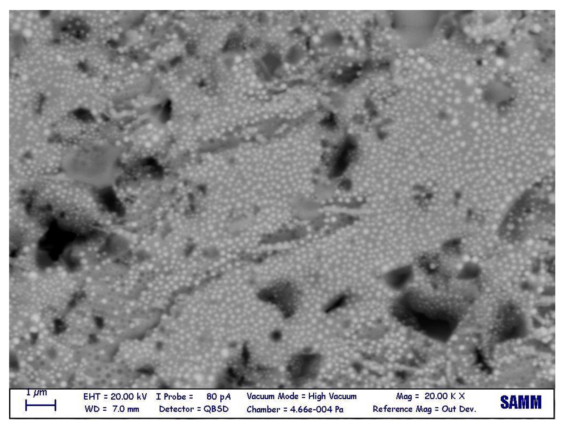 Micromachines 14 00165 g011
