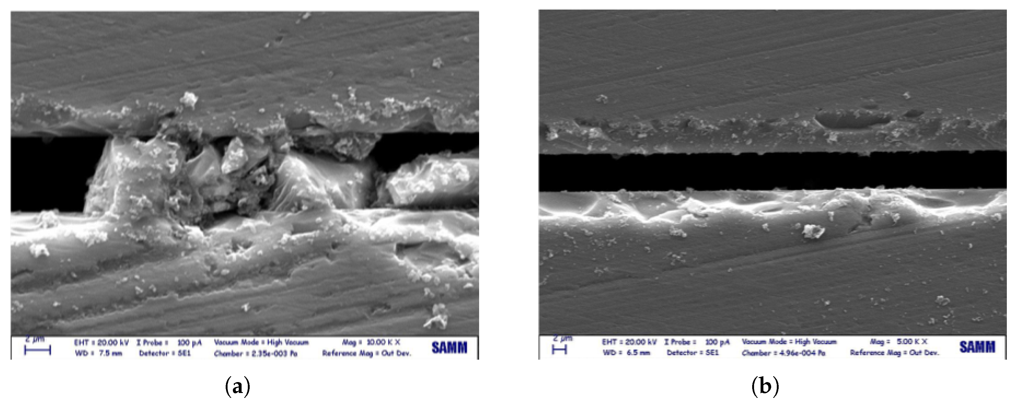 Micromachines 14 00165 g012