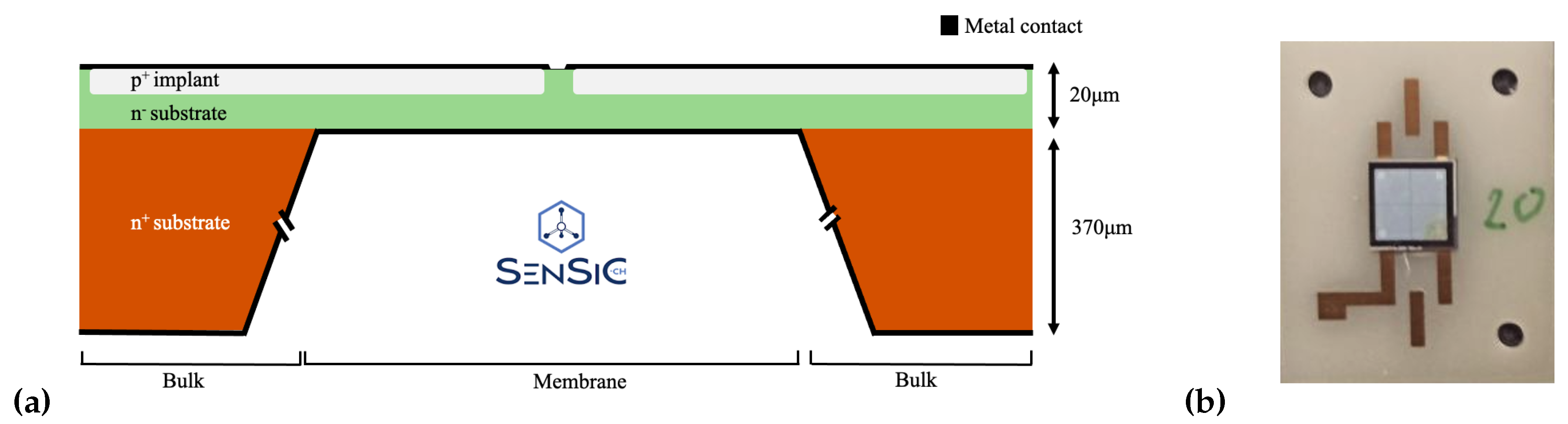 Micromachines 14 00166 g002