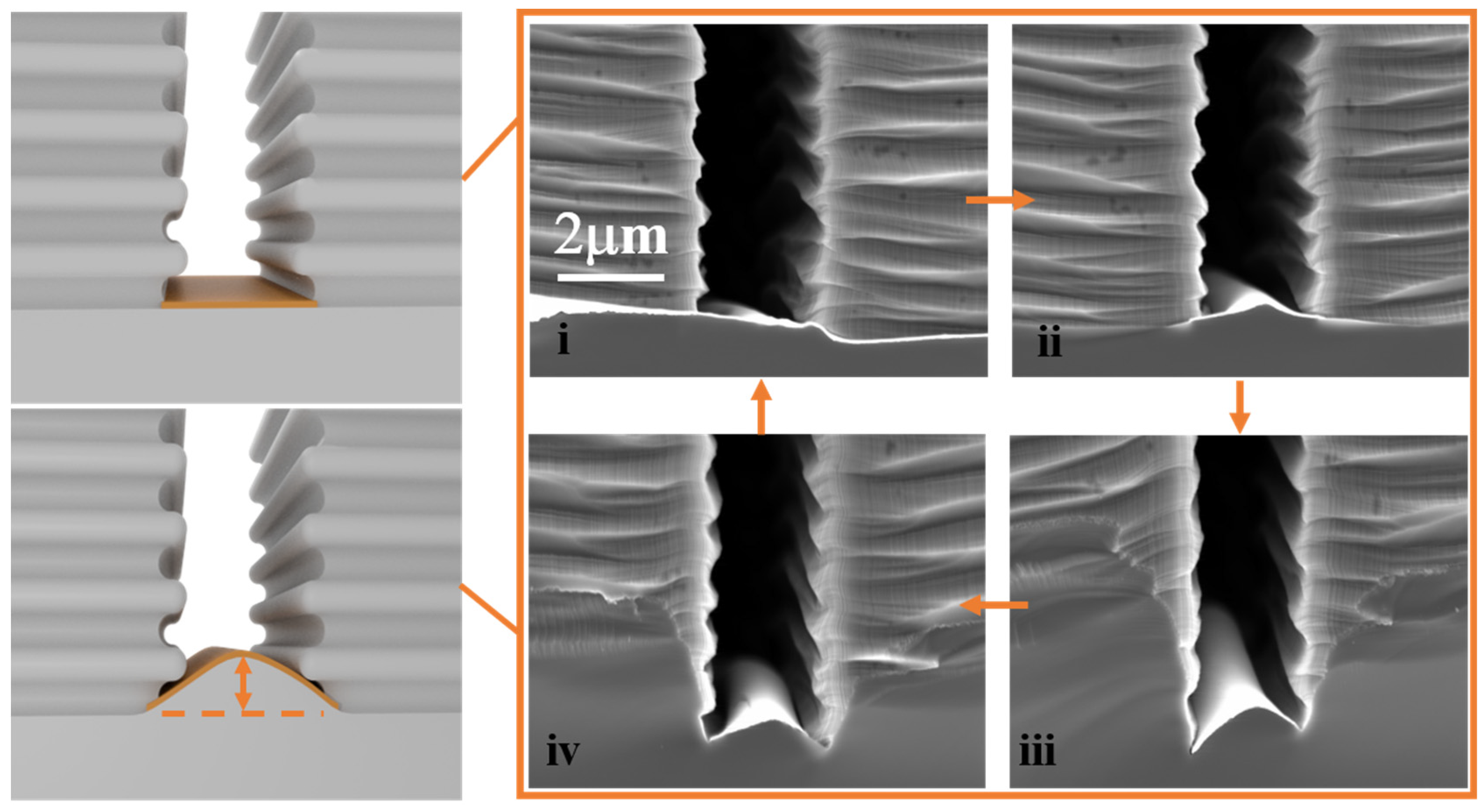 Micromachines 14 00179 g002