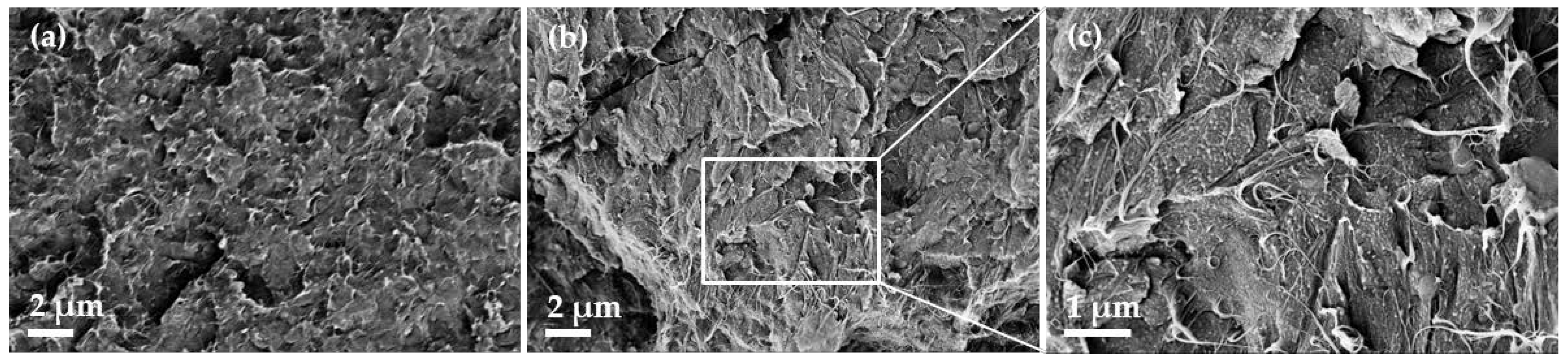 Micromachines 14 00181 g006