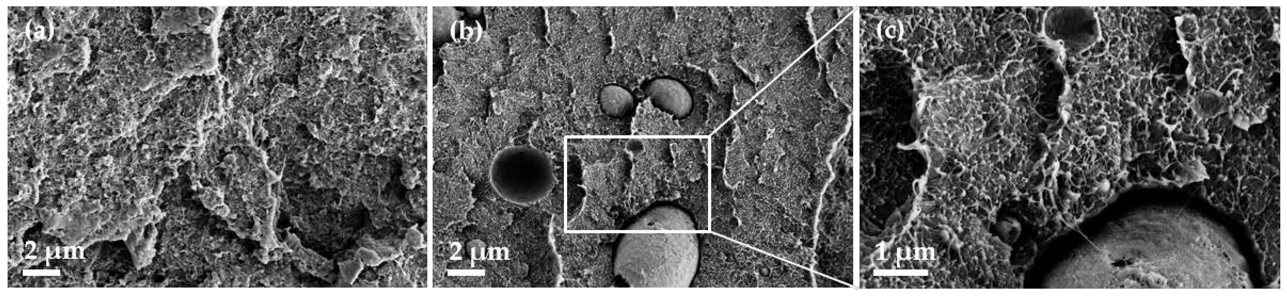 Micromachines 14 00181 g008