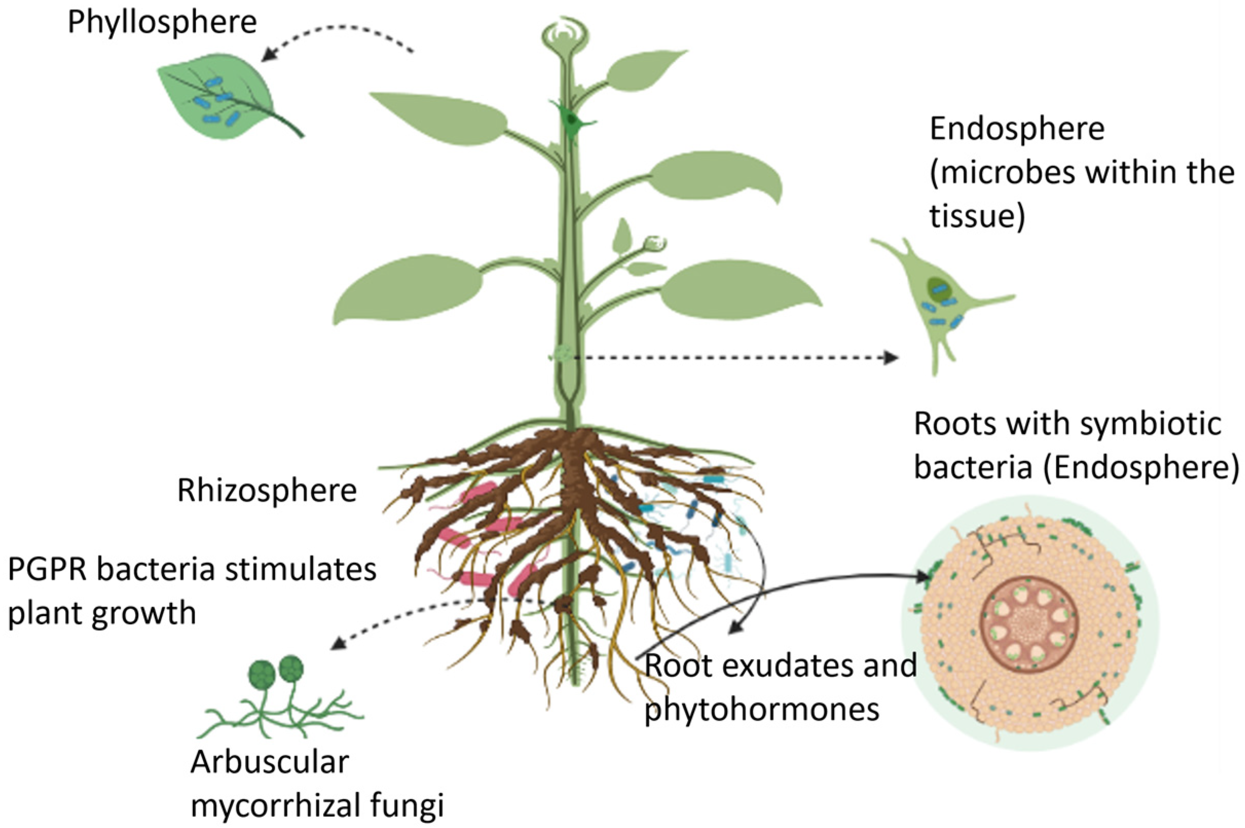Micromachines 14 00195 g001 Micromachines 14 00195 g001