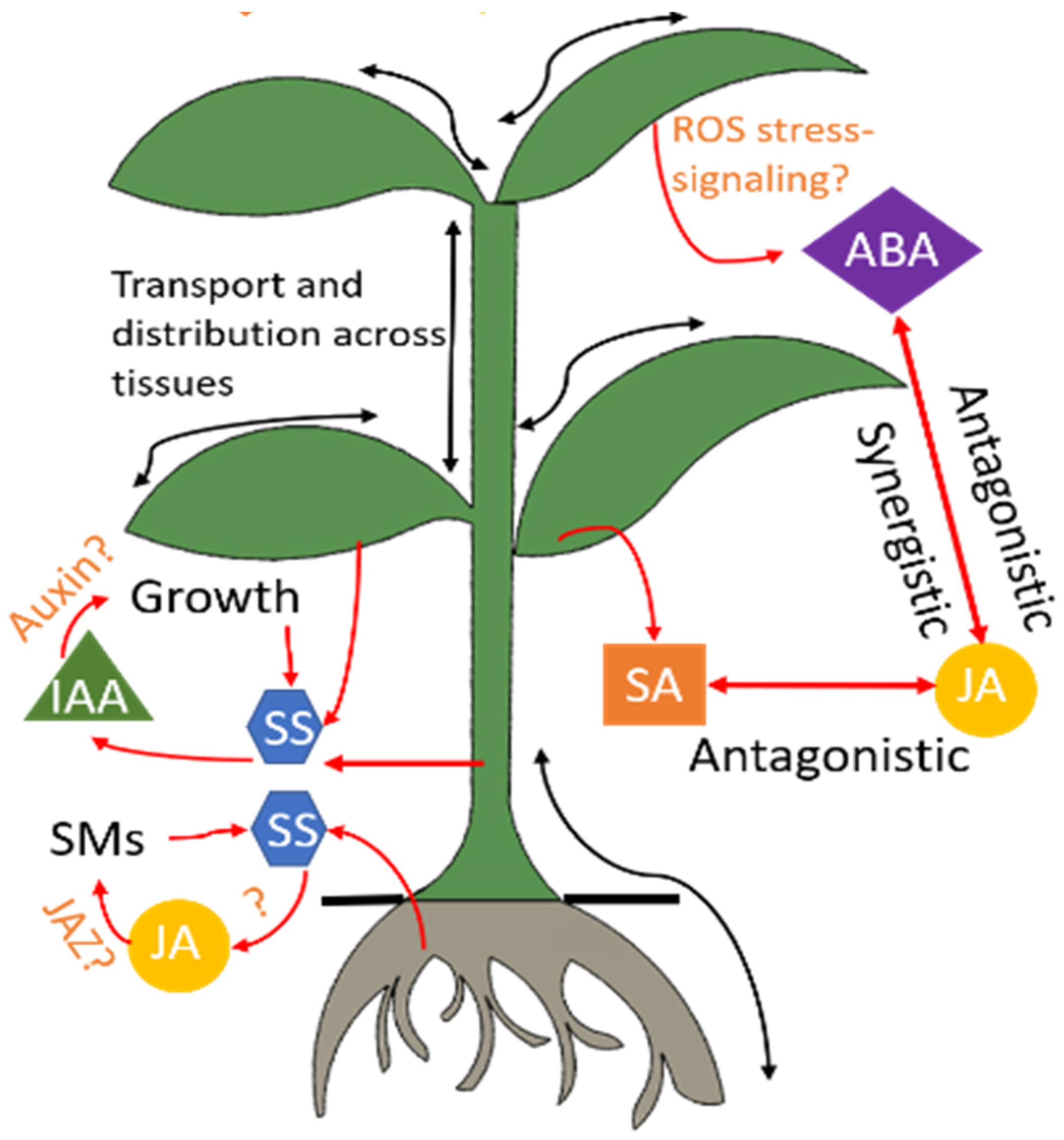 Micromachines 14 00195 g002 Micromachines 14 00195 g002