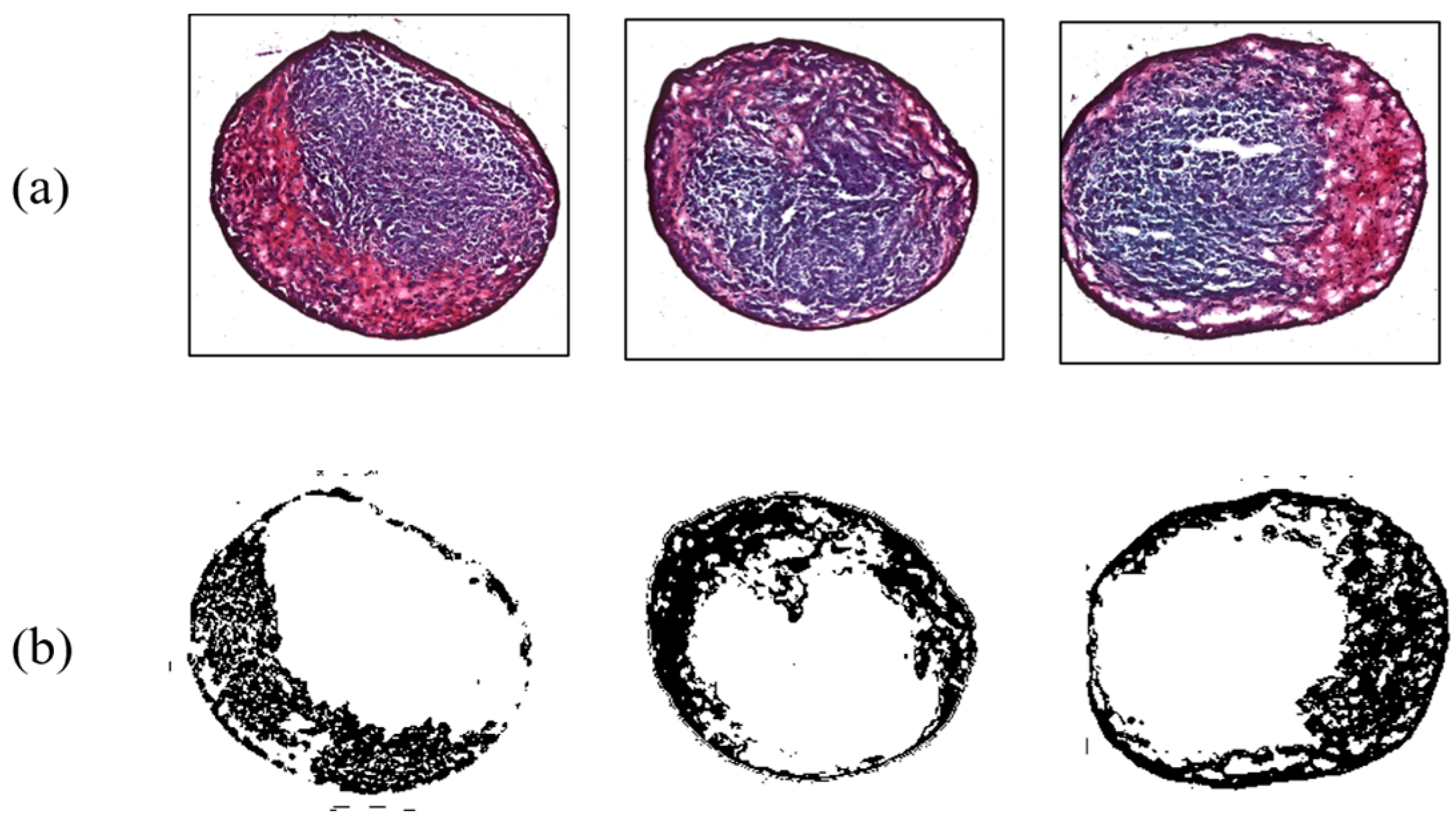 Micromachines 14 00202 g007 Micromachines 14 00202 g007