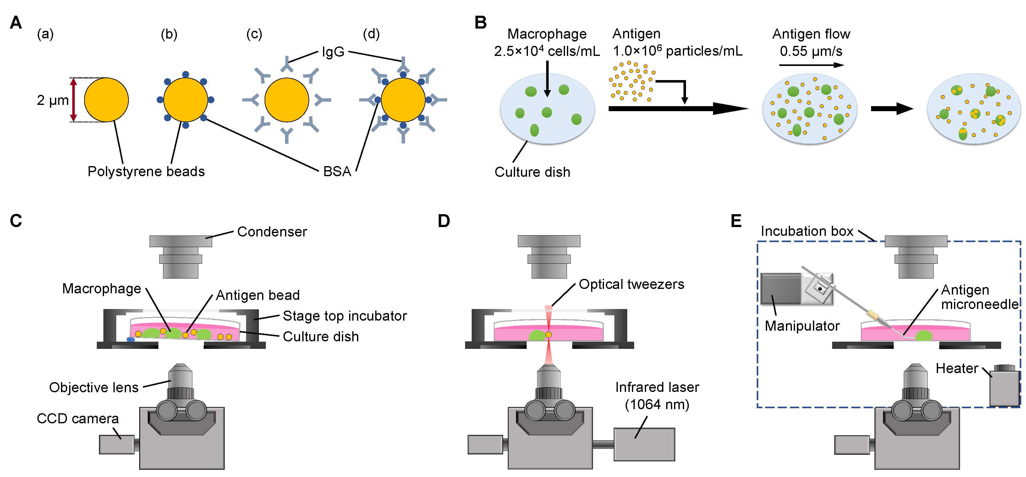 Micromachines 14 00206 g001