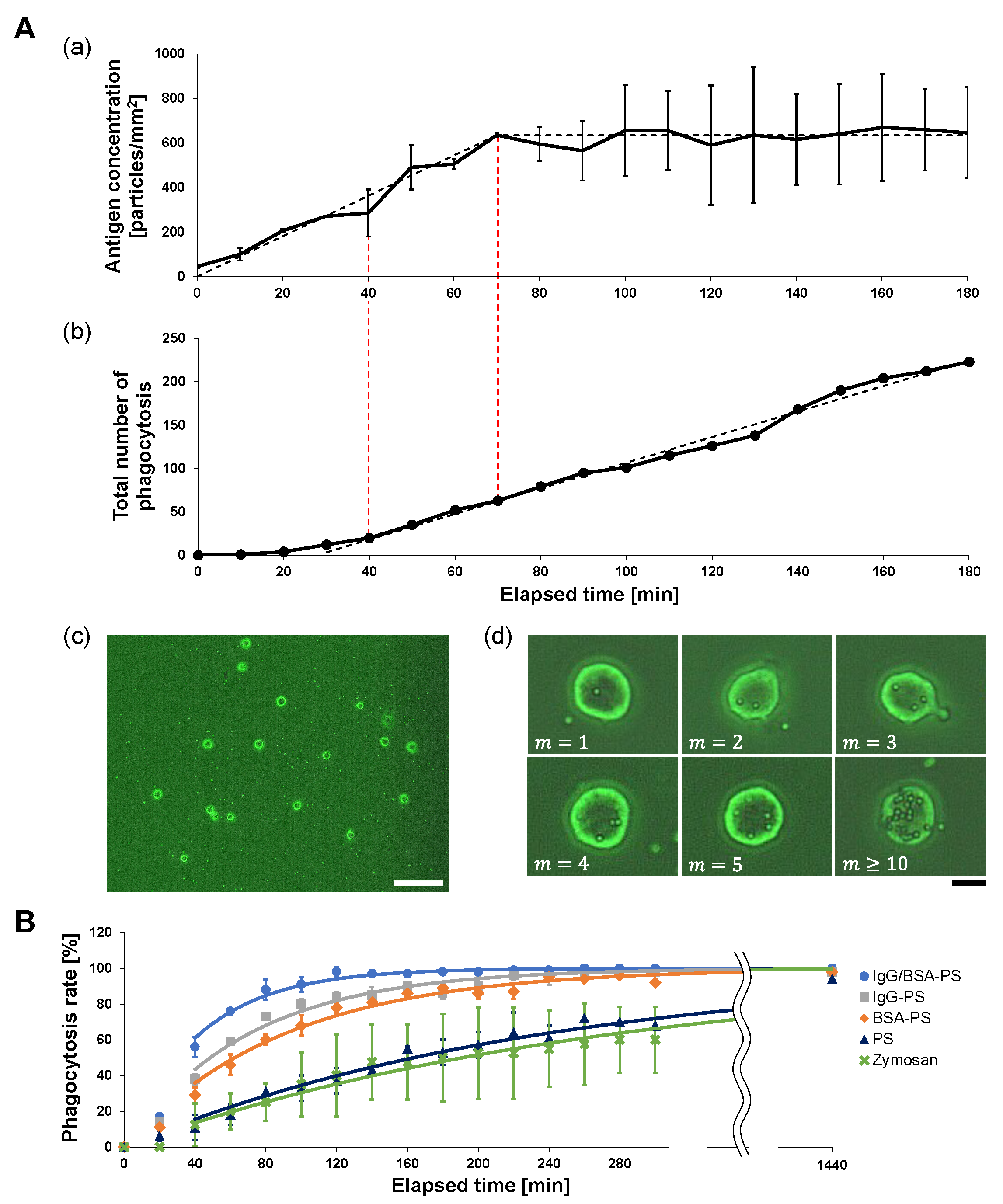 Micromachines 14 00206 g002