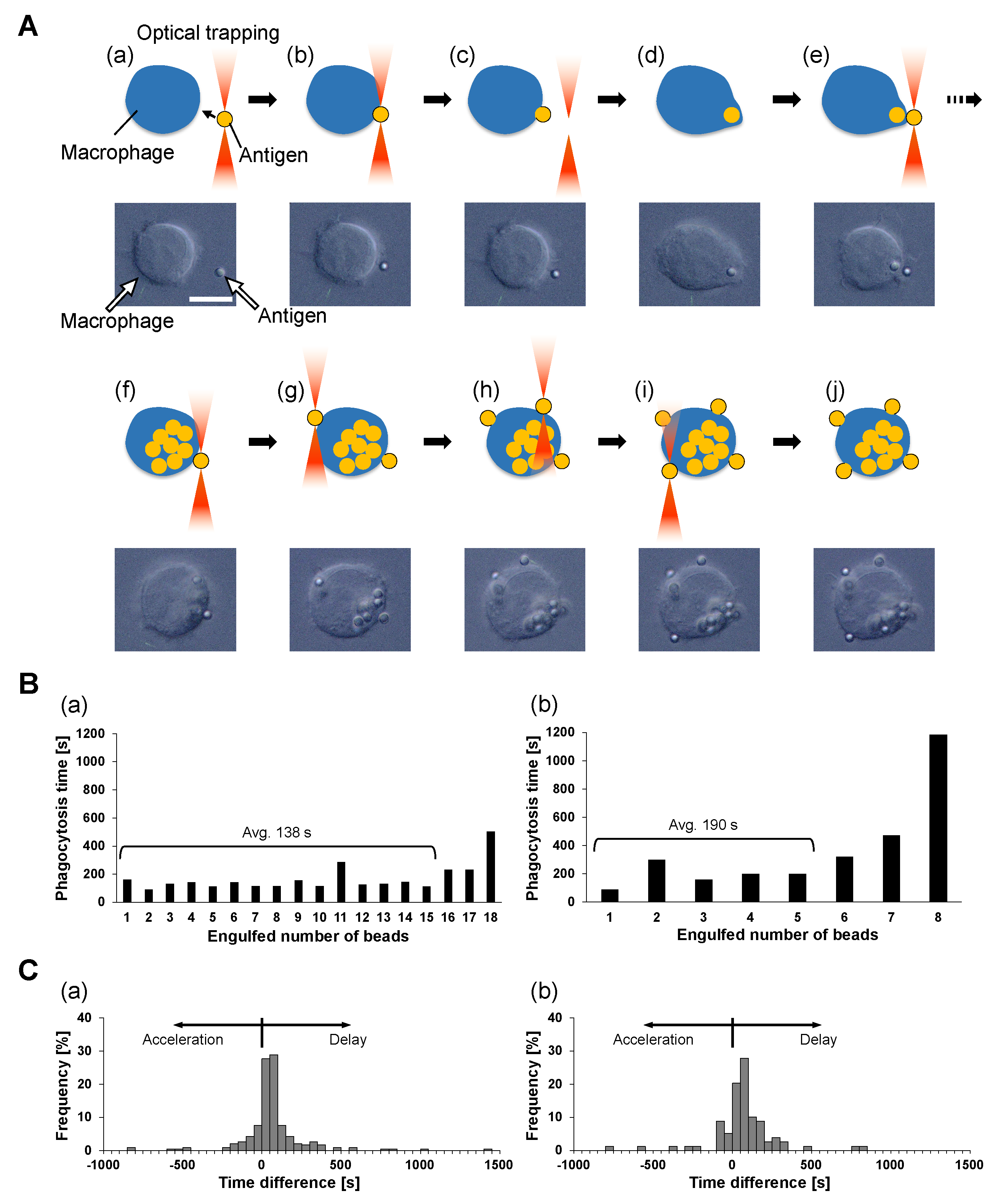 Micromachines 14 00206 g003
