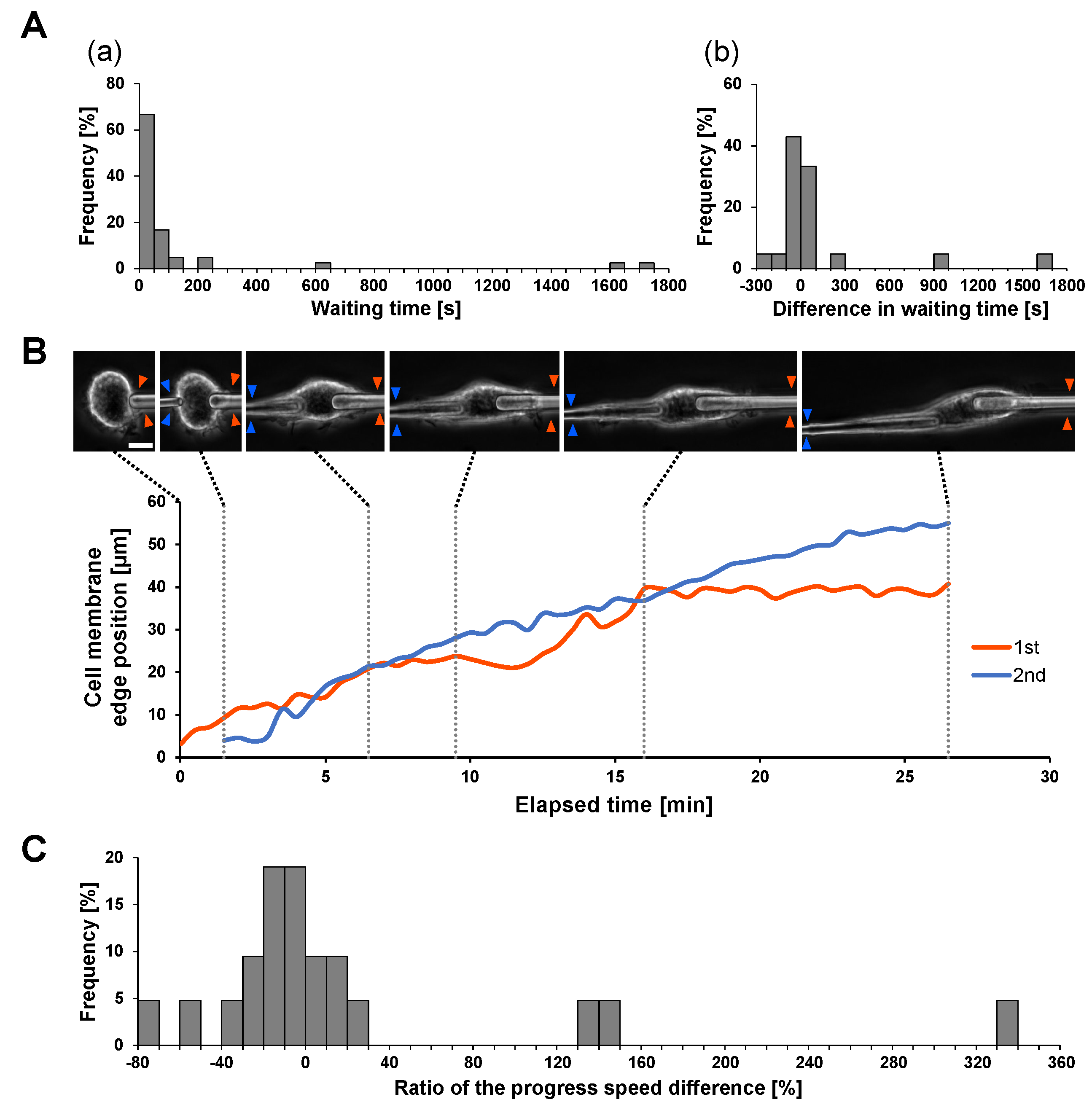 Micromachines 14 00206 g004