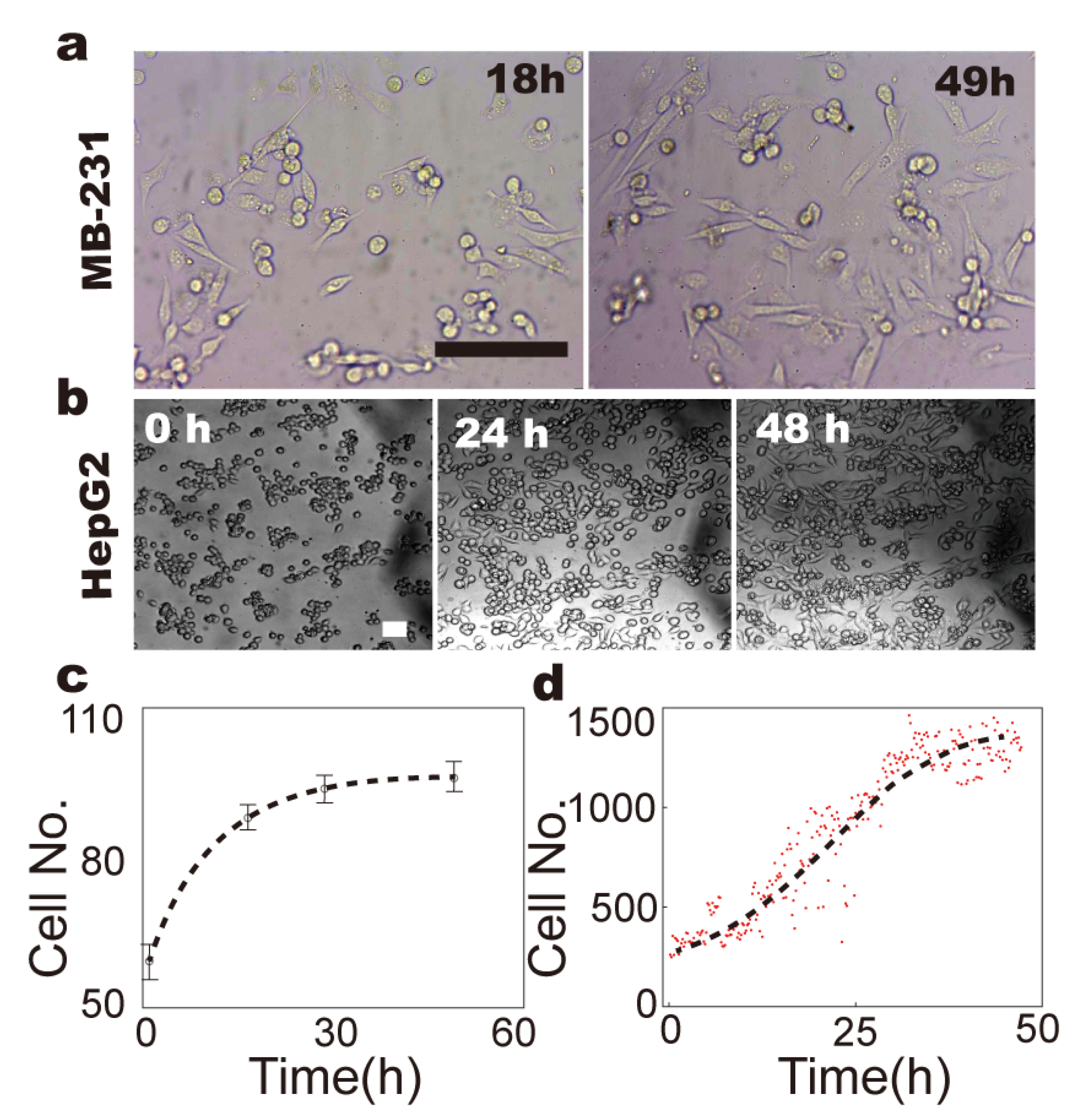 Micromachines 14 00207 g004