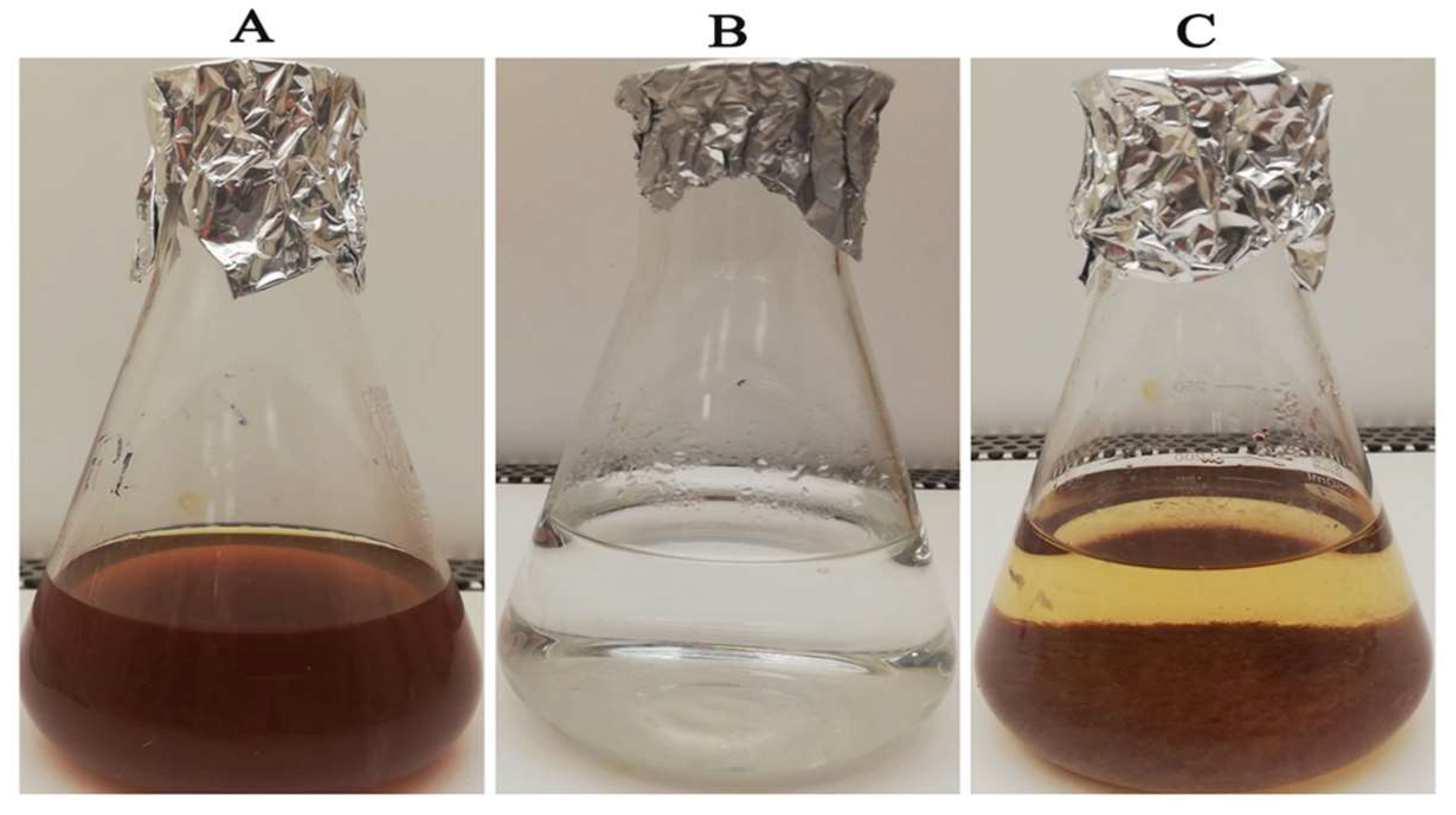 Micromachines 14 00209 g001
