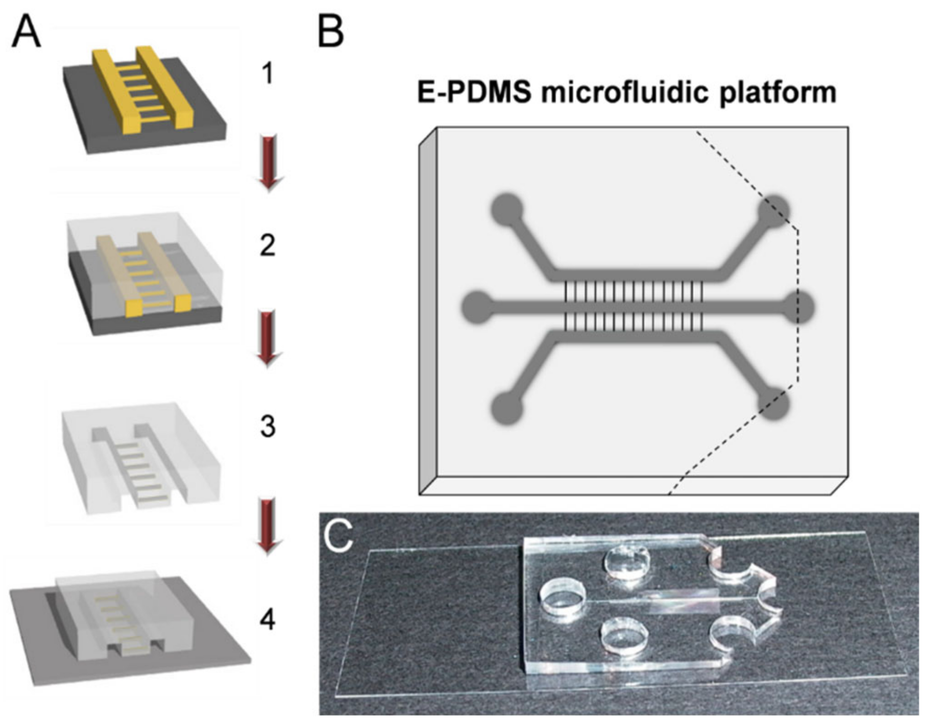 Micromachines 14 00214 g005 Micromachines 14 00214 g005