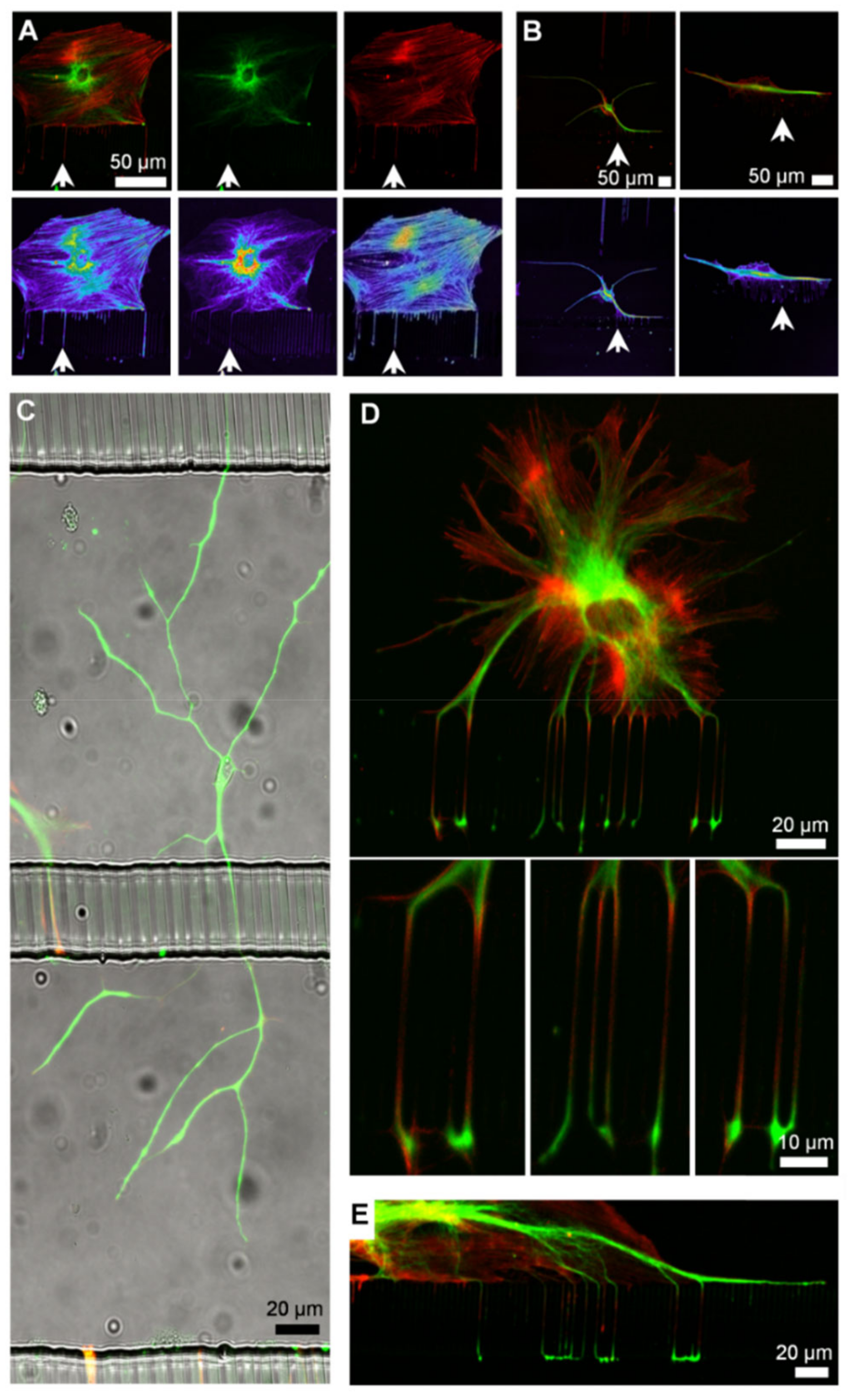 Micromachines 14 00214 g007 Micromachines 14 00214 g007