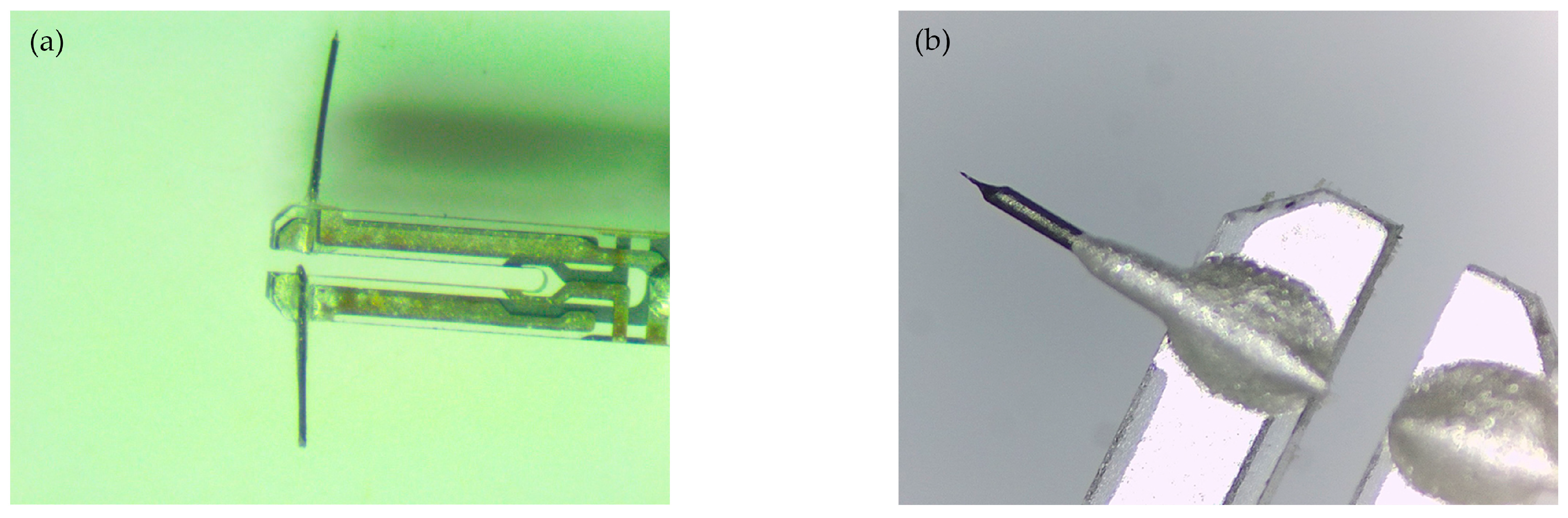 Micromachines 14 00227 g007