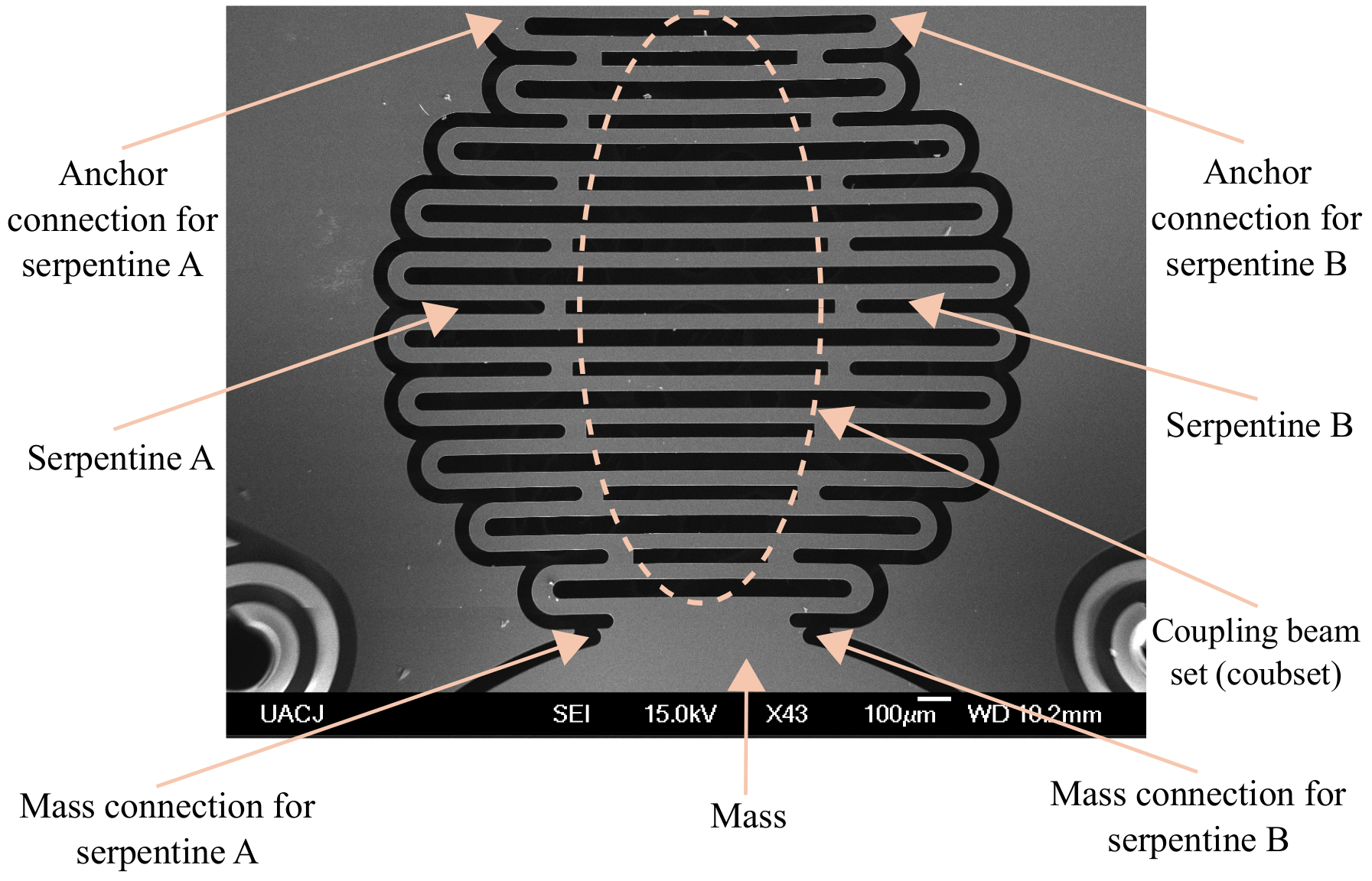Micromachines 14 00231 g003