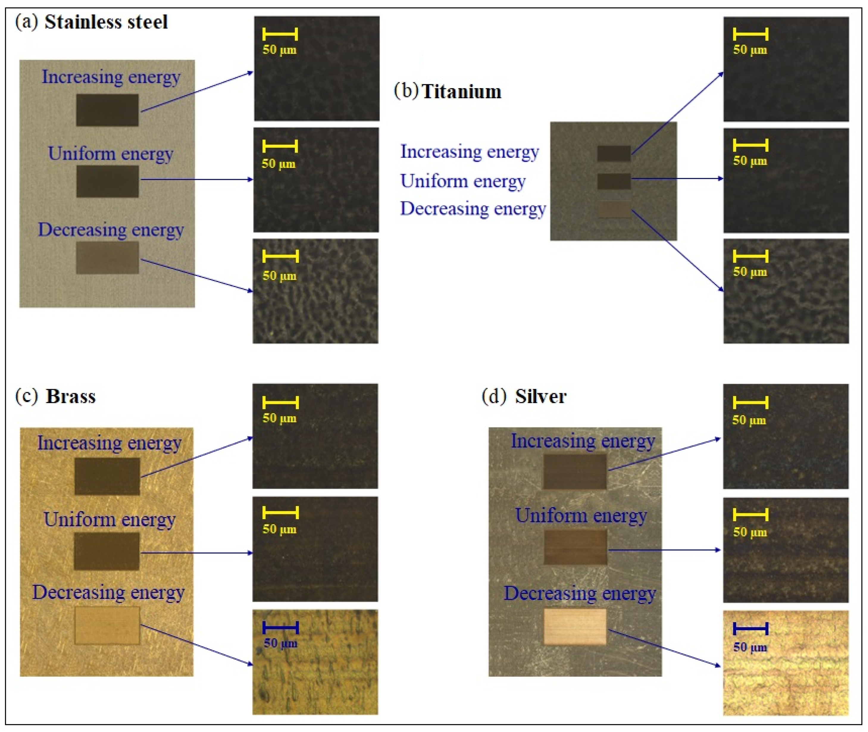 Micromachines 14 00251 g003