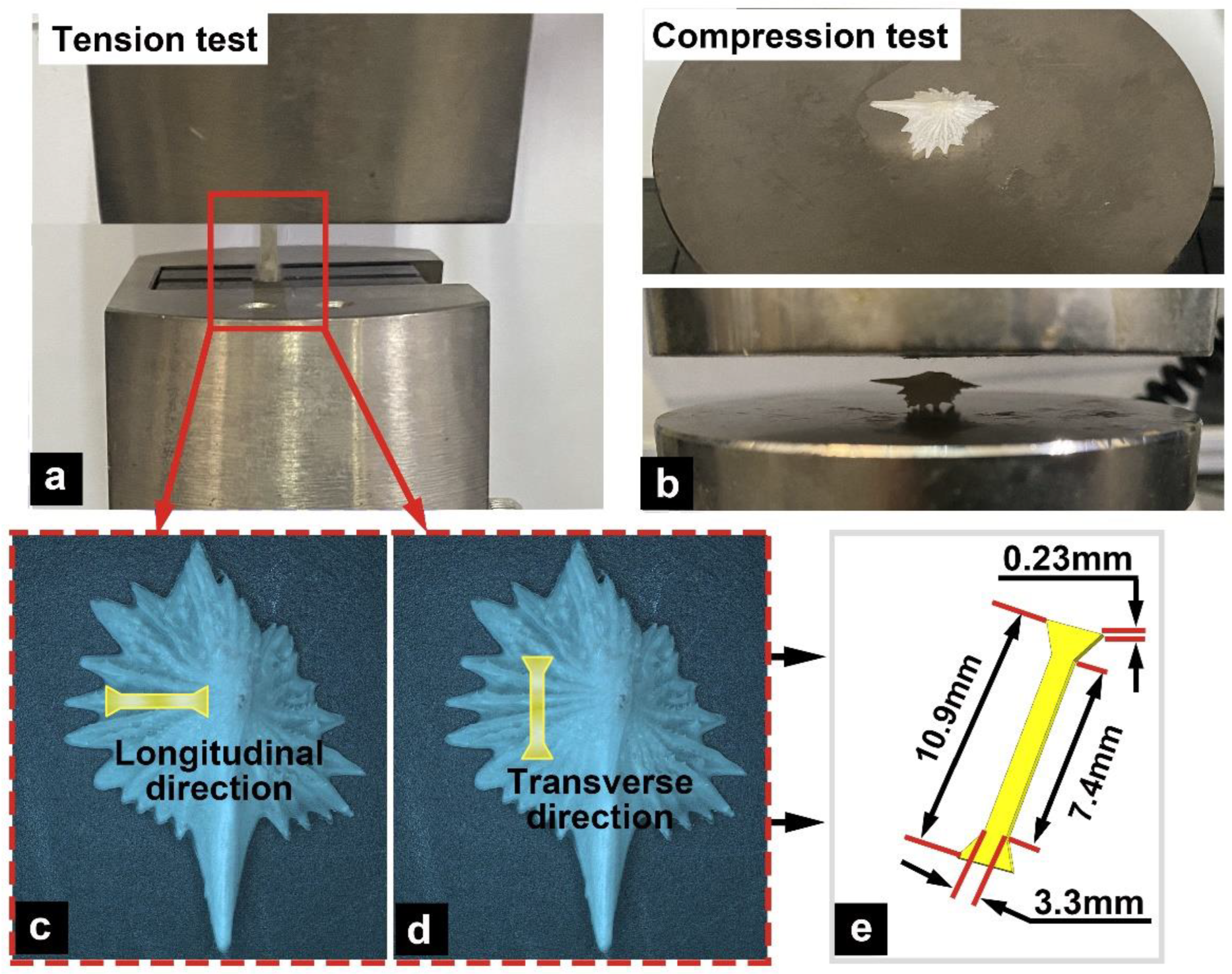 Micromachines 14 00256 g001