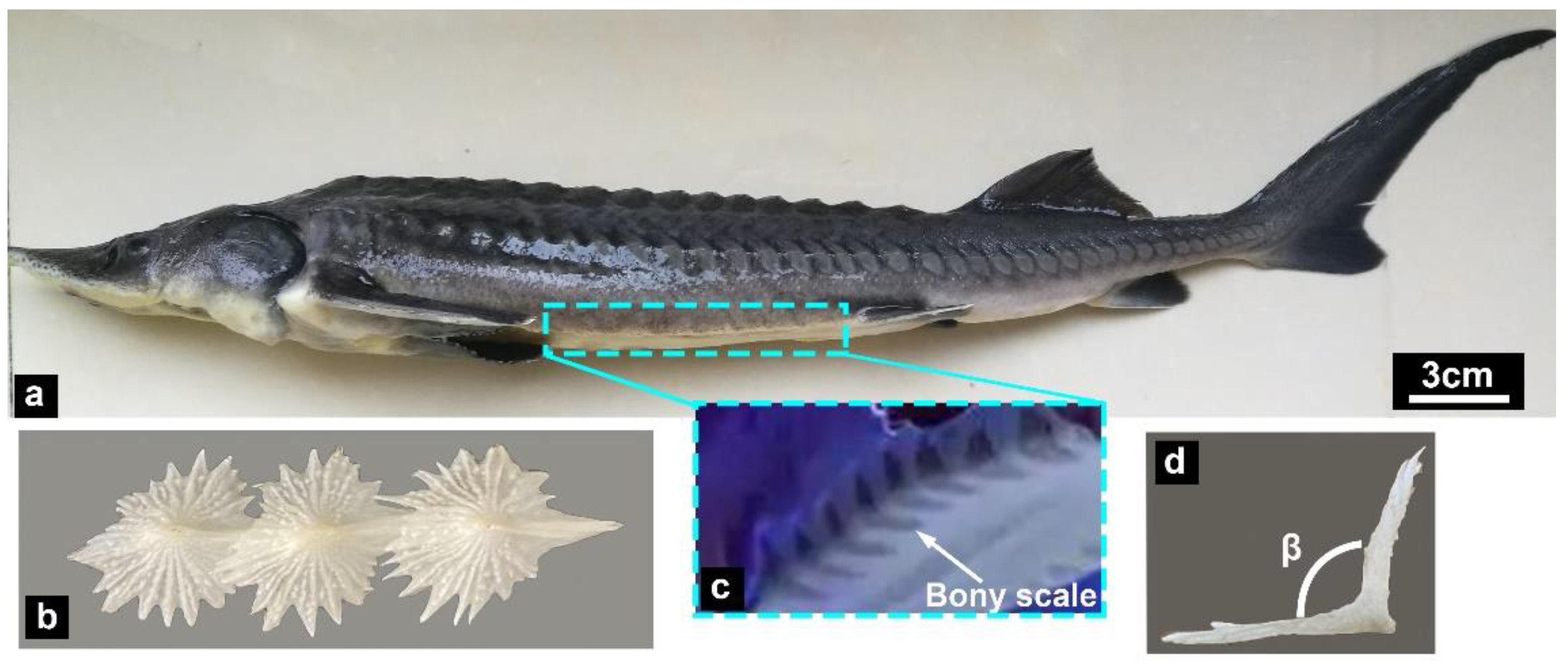 Micromachines 14 00256 g002